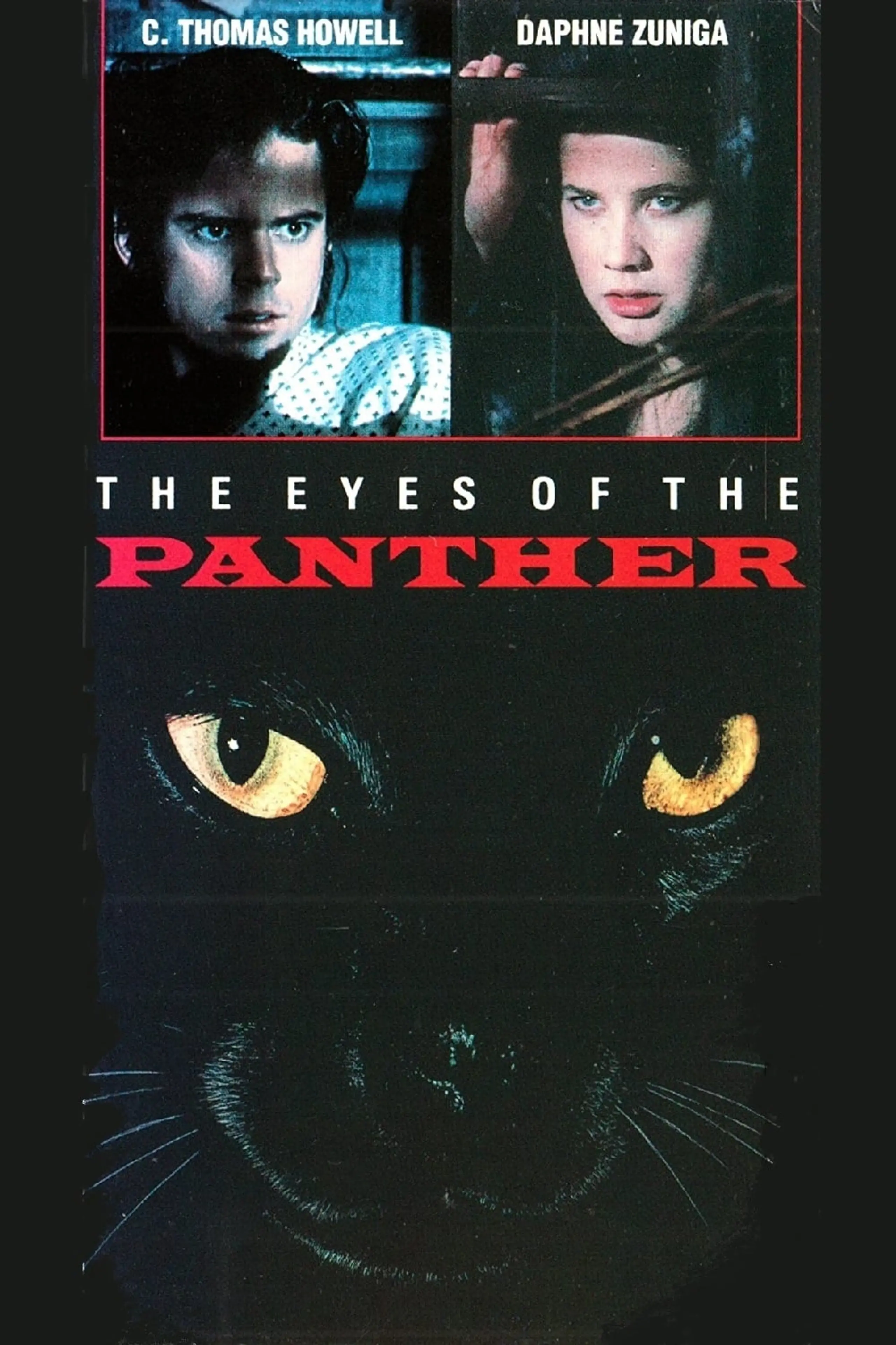 The Eyes of the Panther