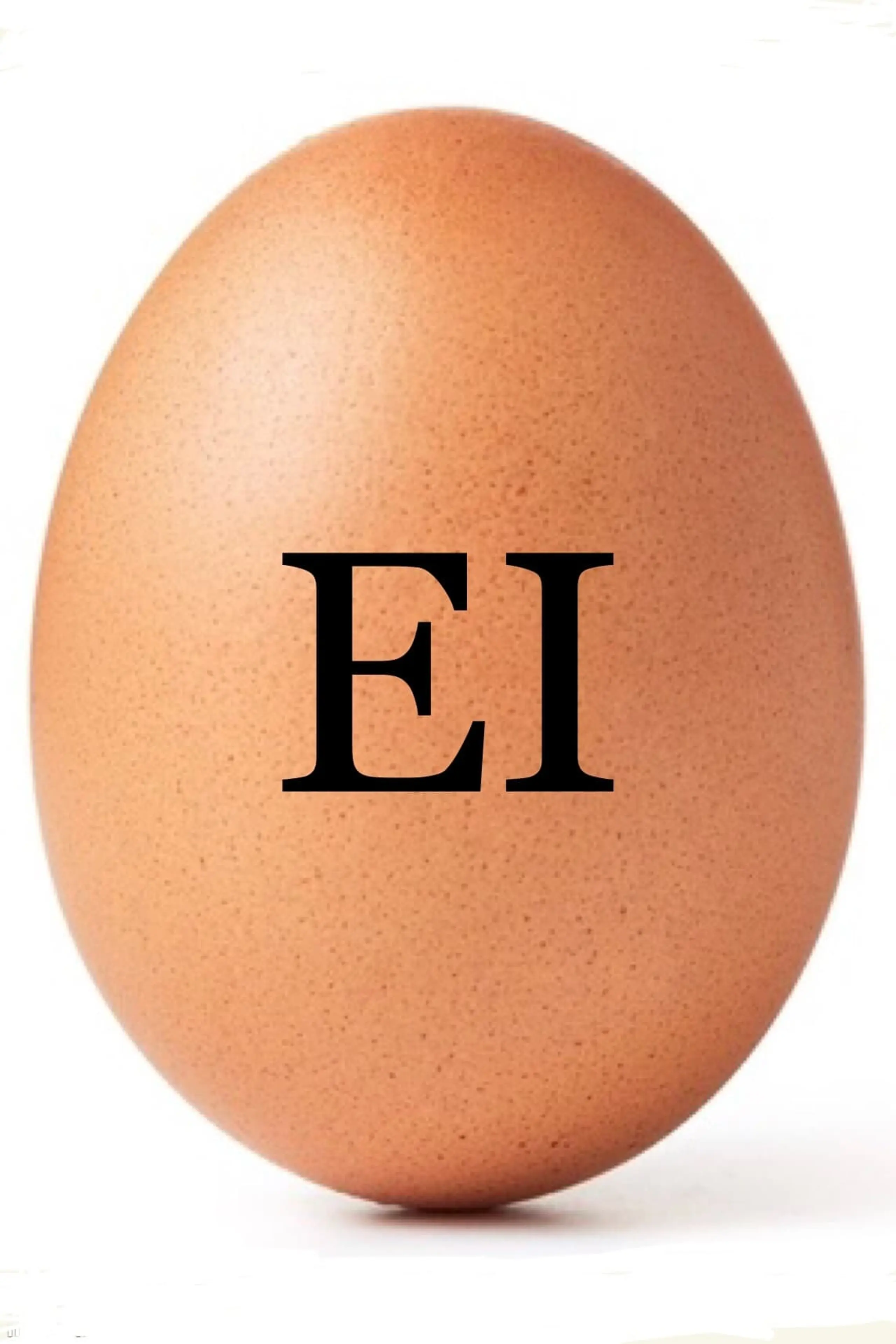 Egg