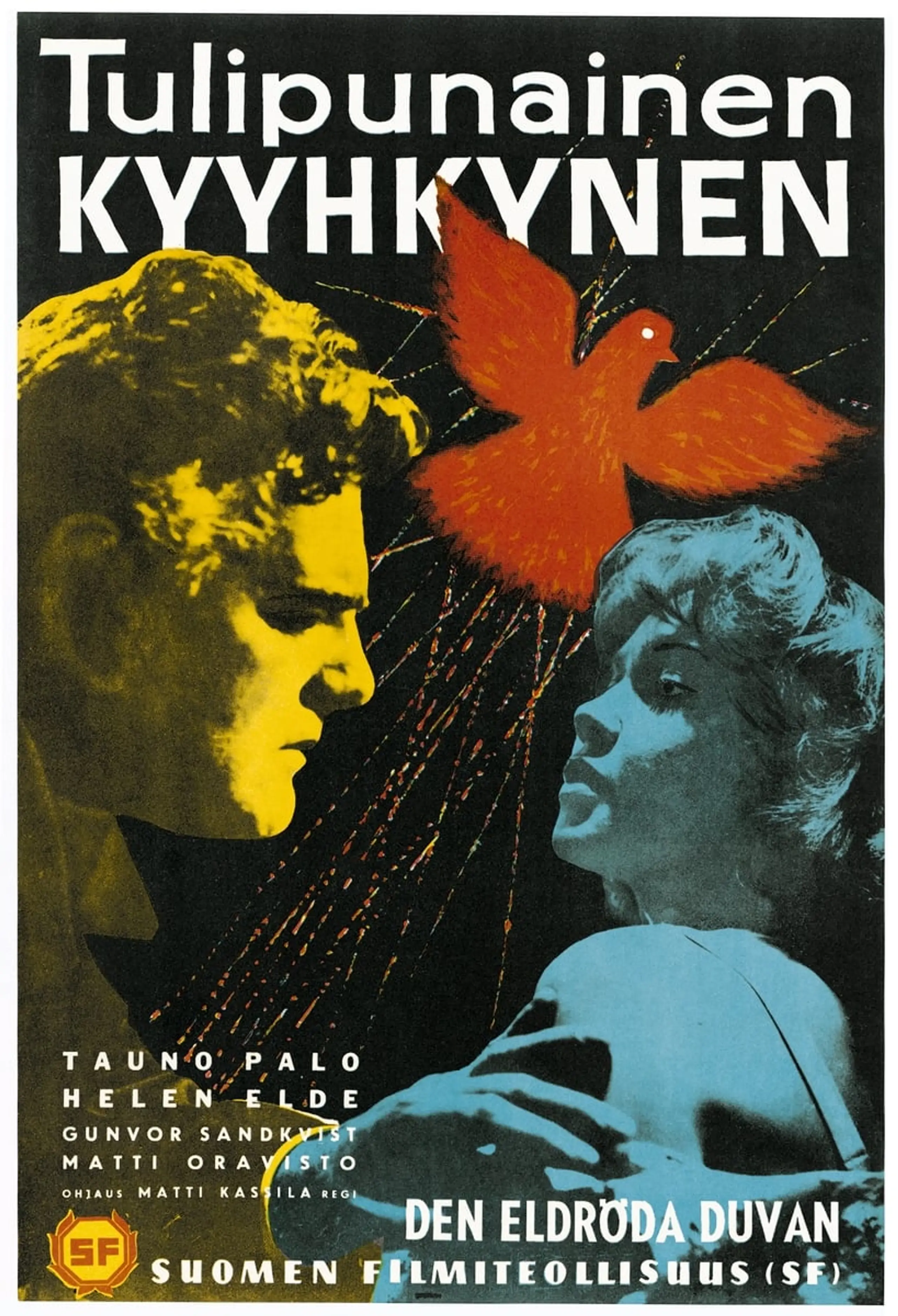 Tulipunainen kyyhkynen