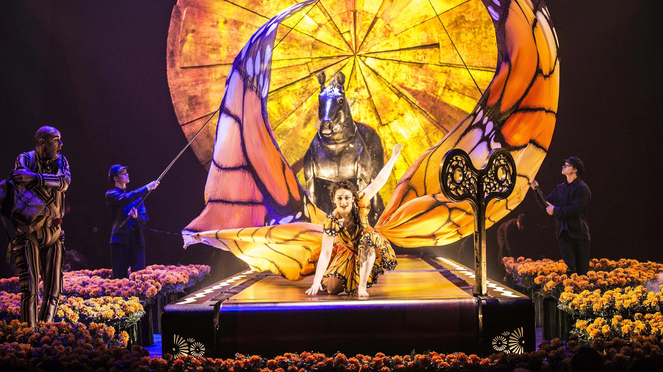 Cirque du Soleil: Luzia