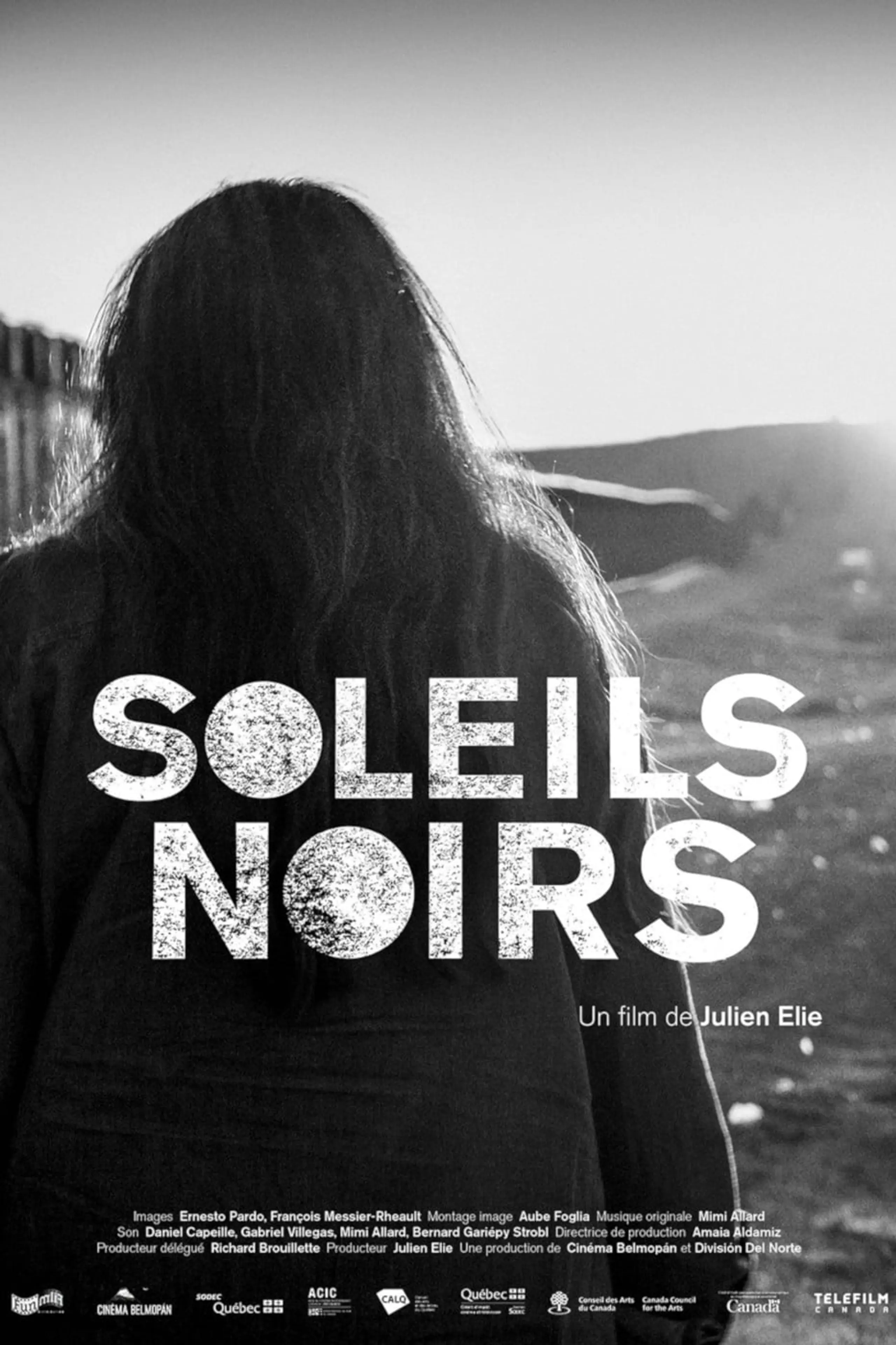 Soleils noirs