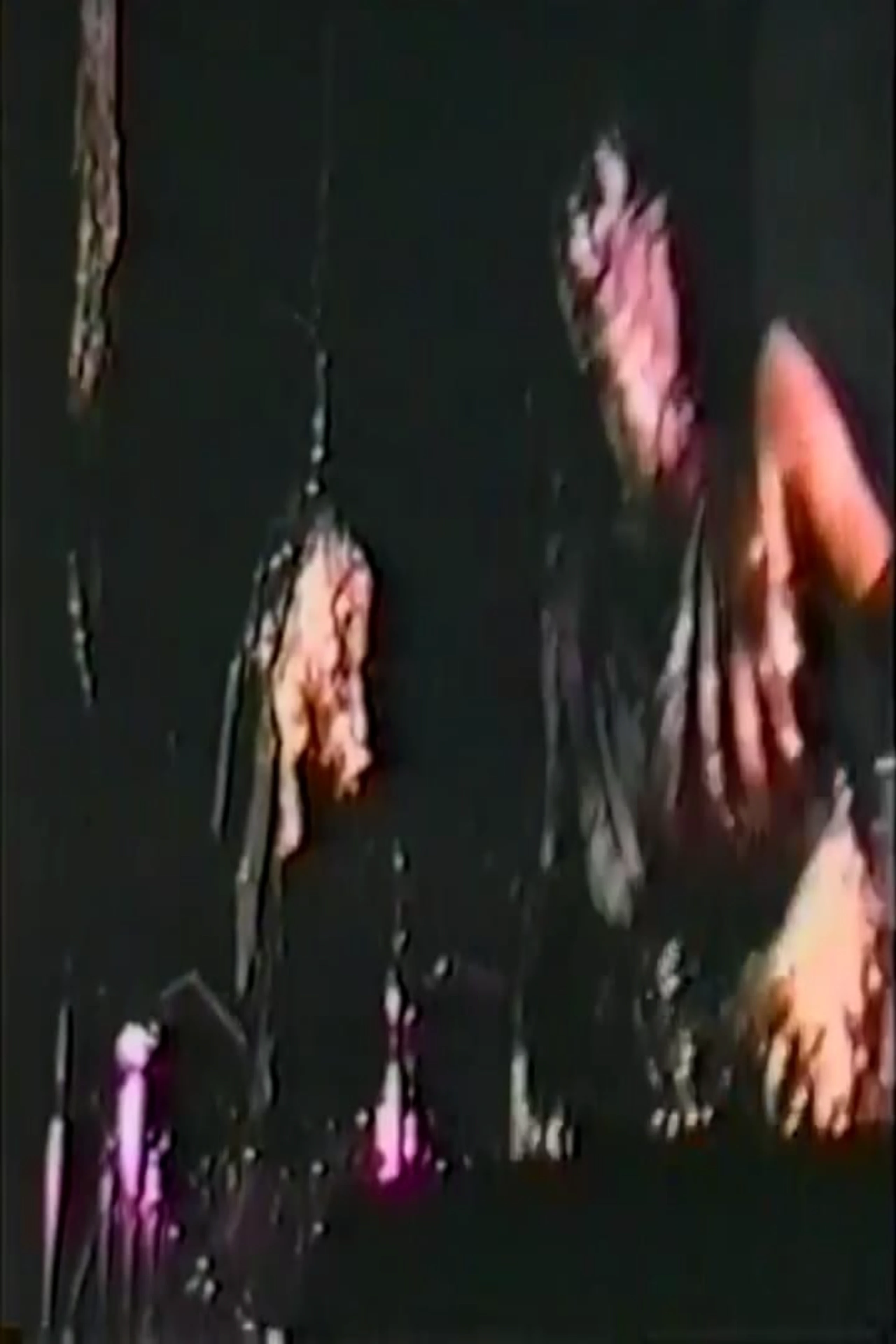 Skinny Puppy - Live in Dallas