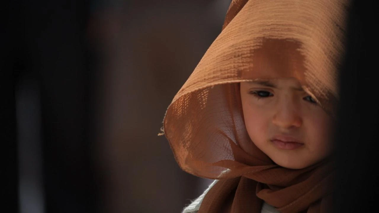 فيلم ليس للكرامة جدران