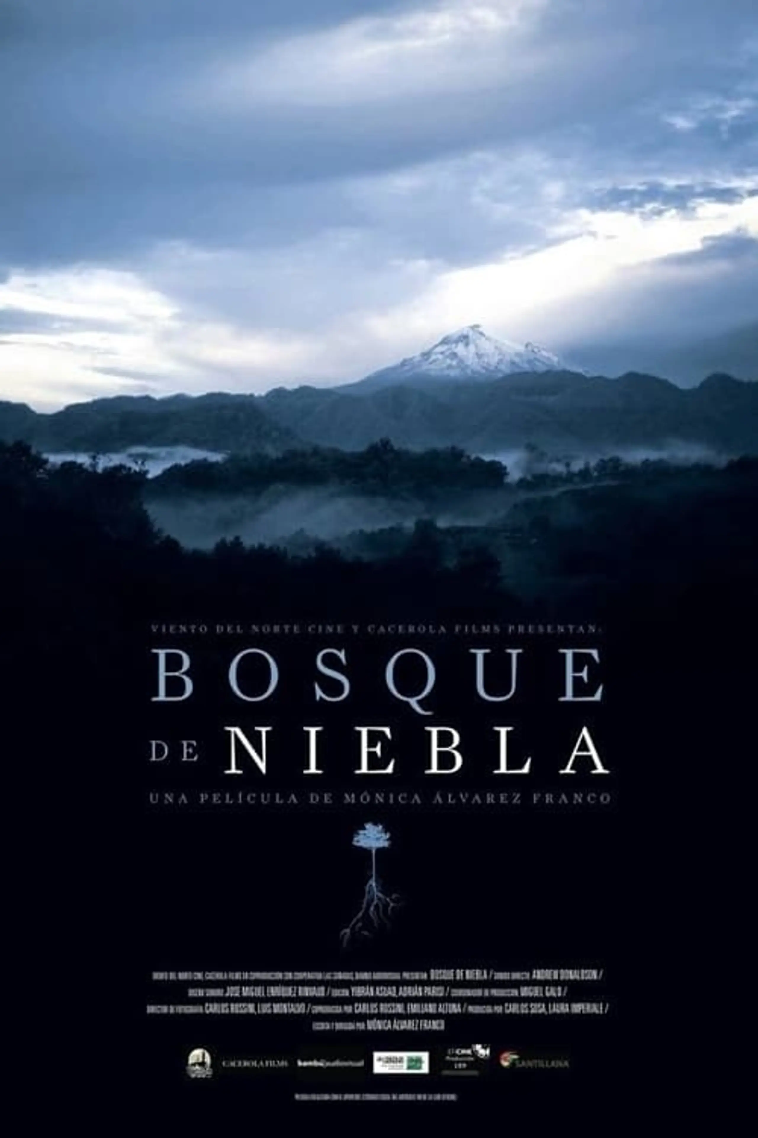 Bosque de niebla