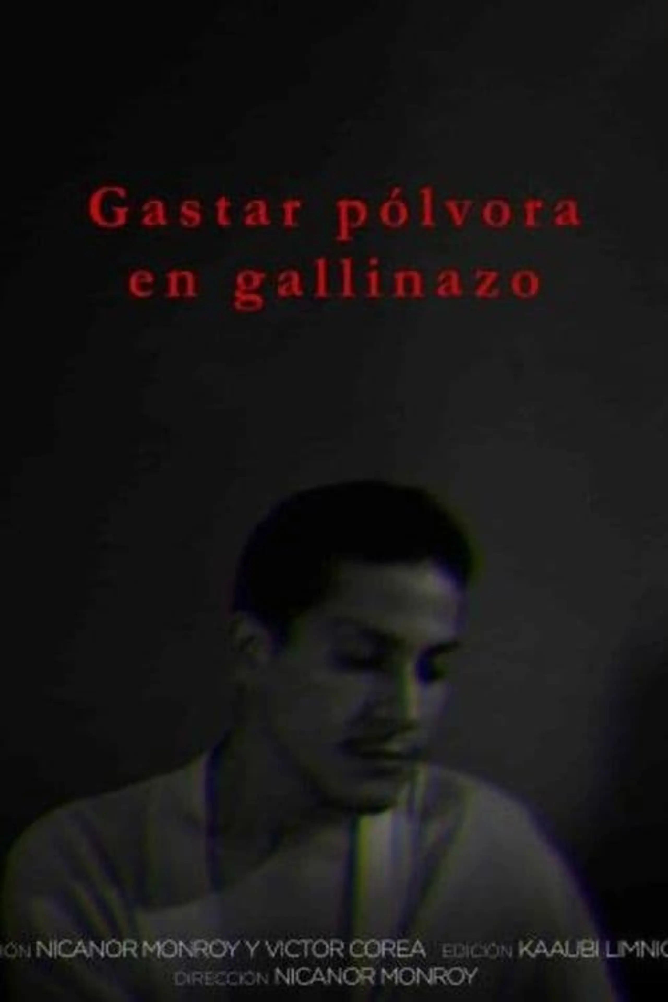 Gastar pólvora en gallinazos