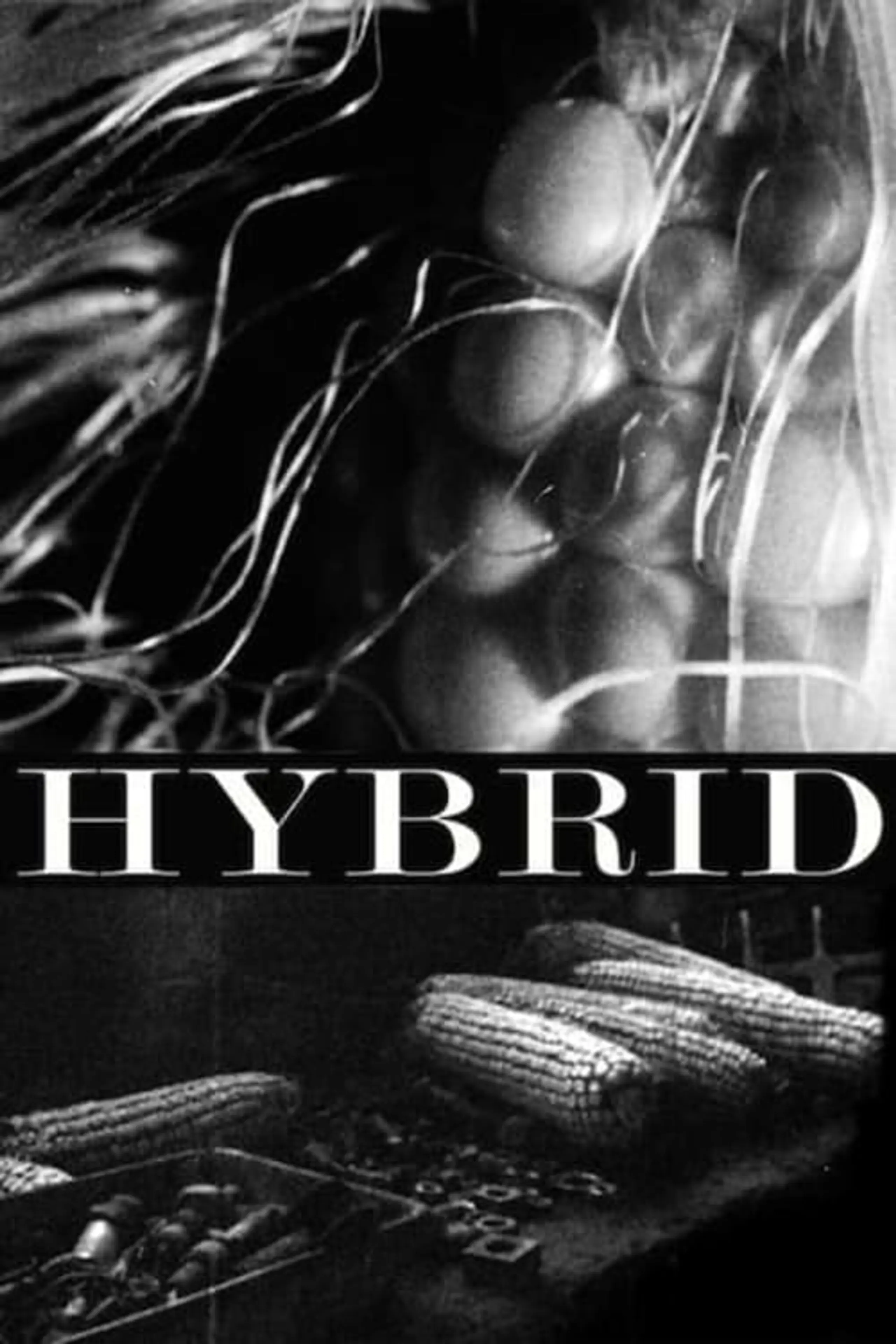 Hybrid