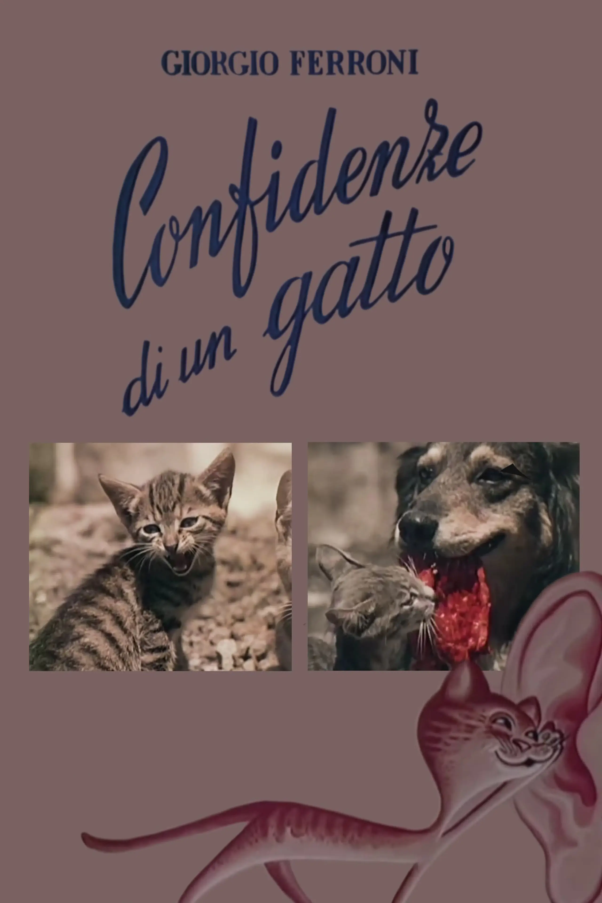 Confidenze di un gatto