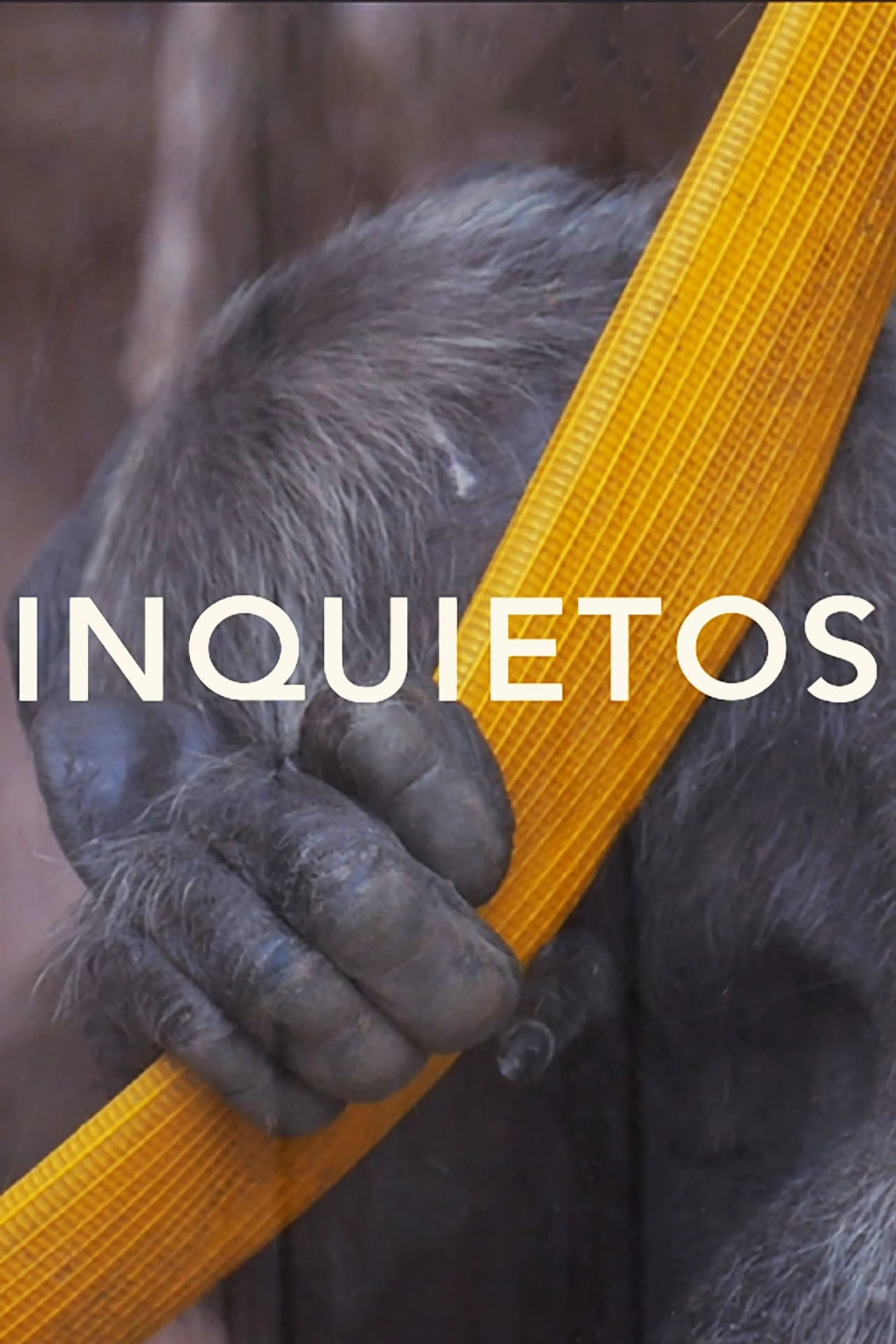 Inquietos