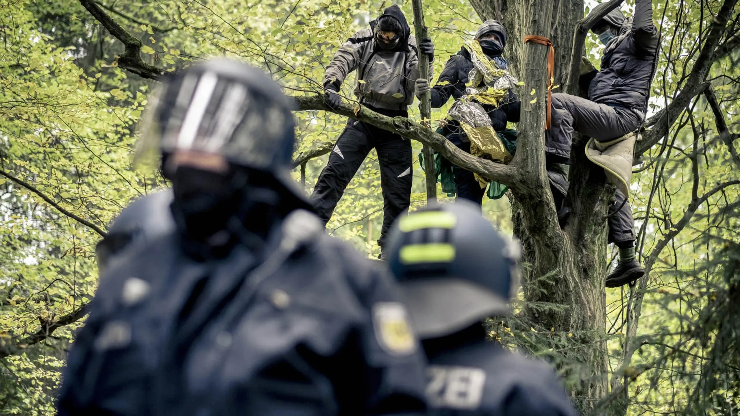 Barrikade – Bilder einer Waldbesetzung