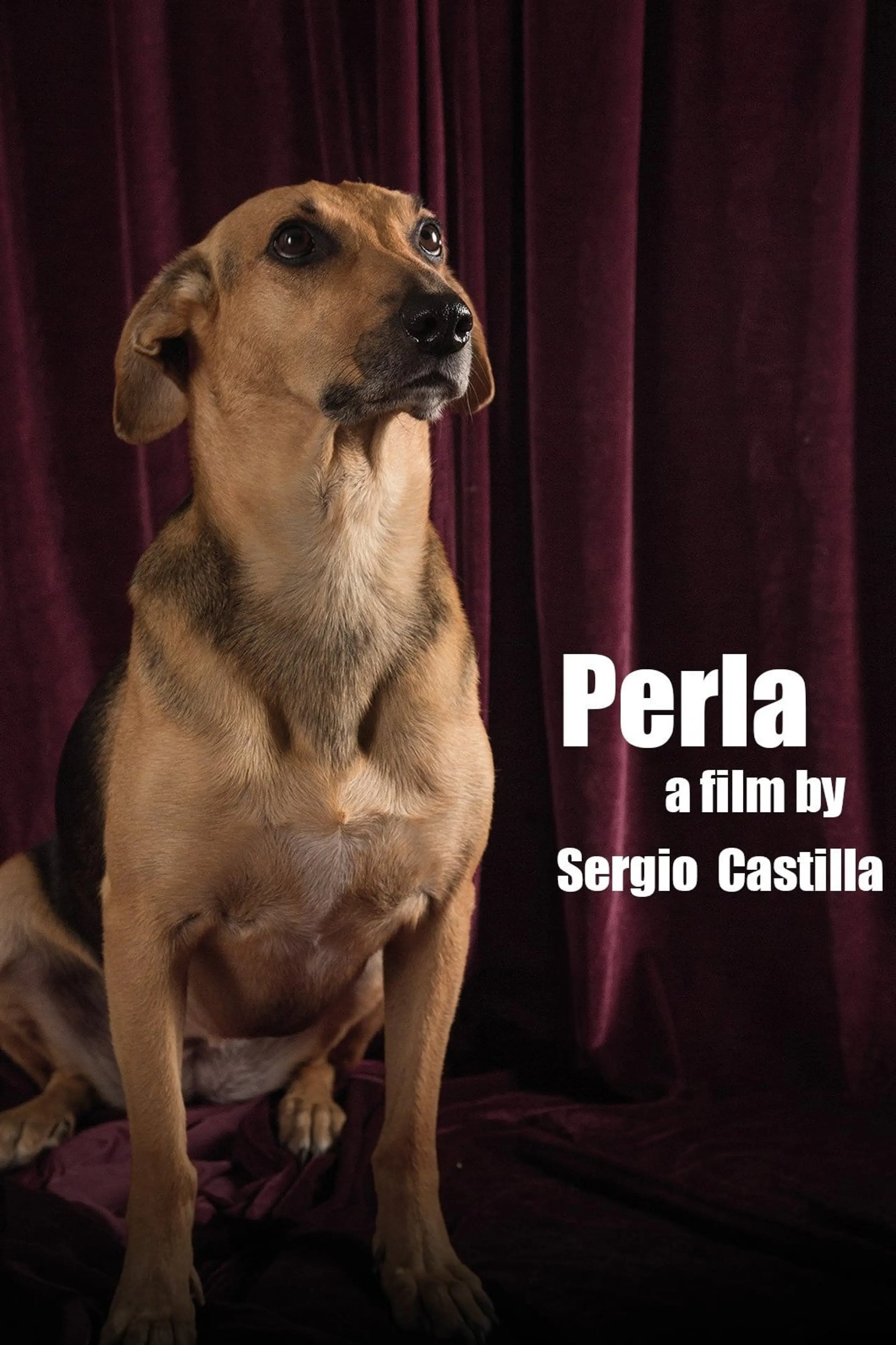 Perla: La Película