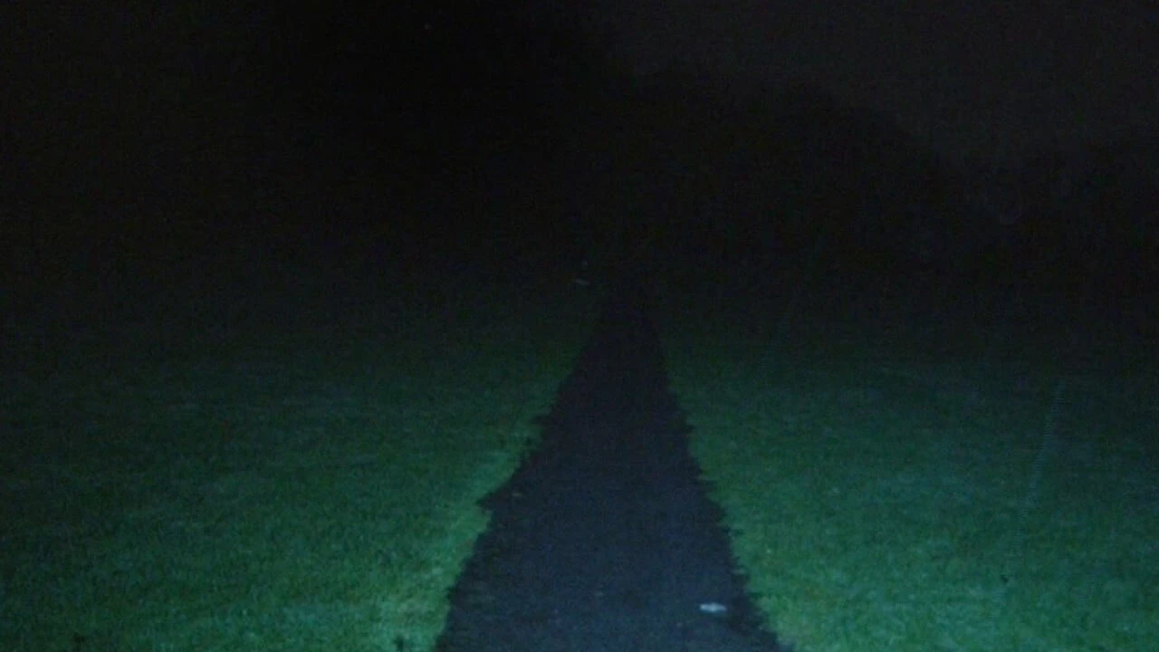 LEASH