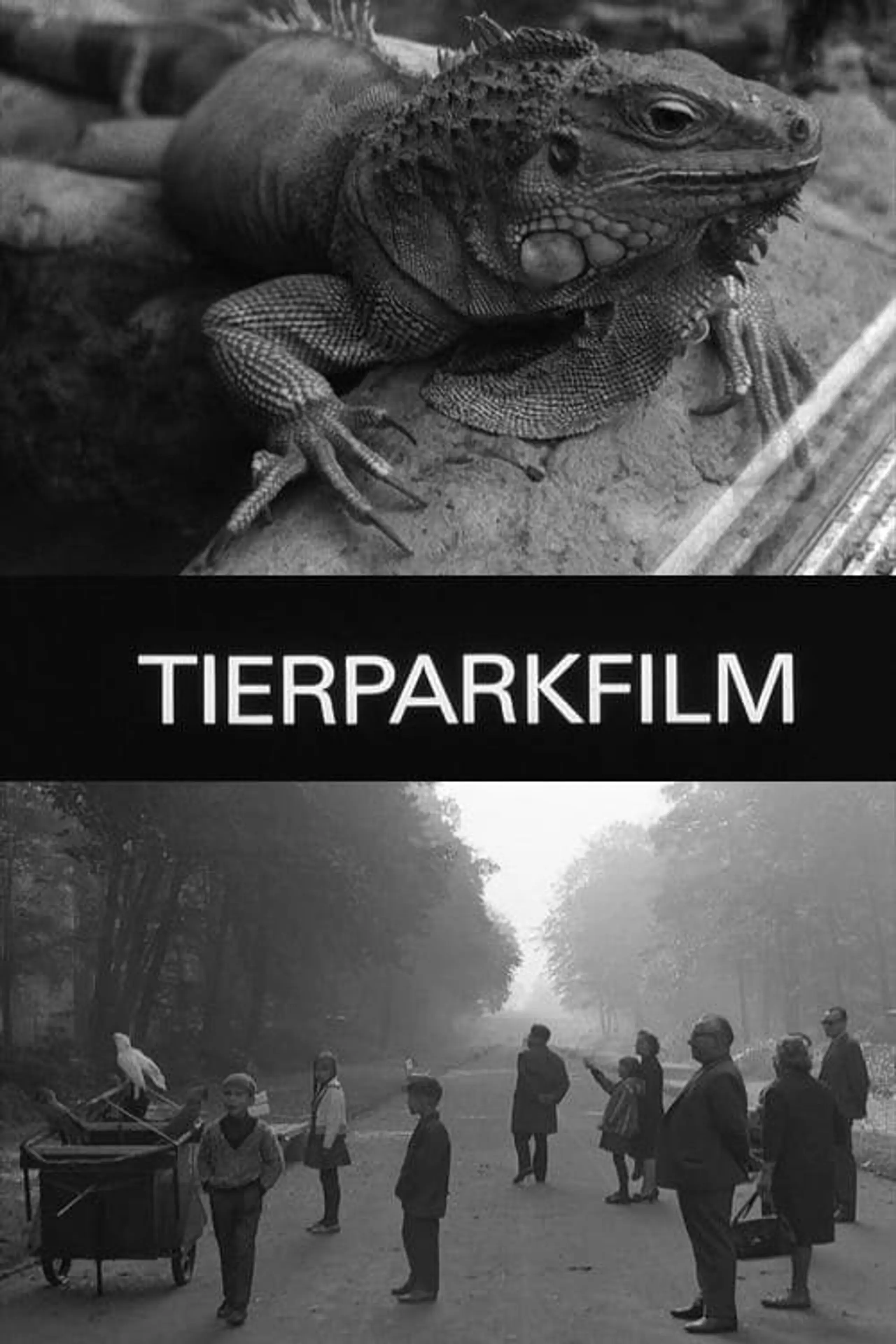 Tierparkfilm