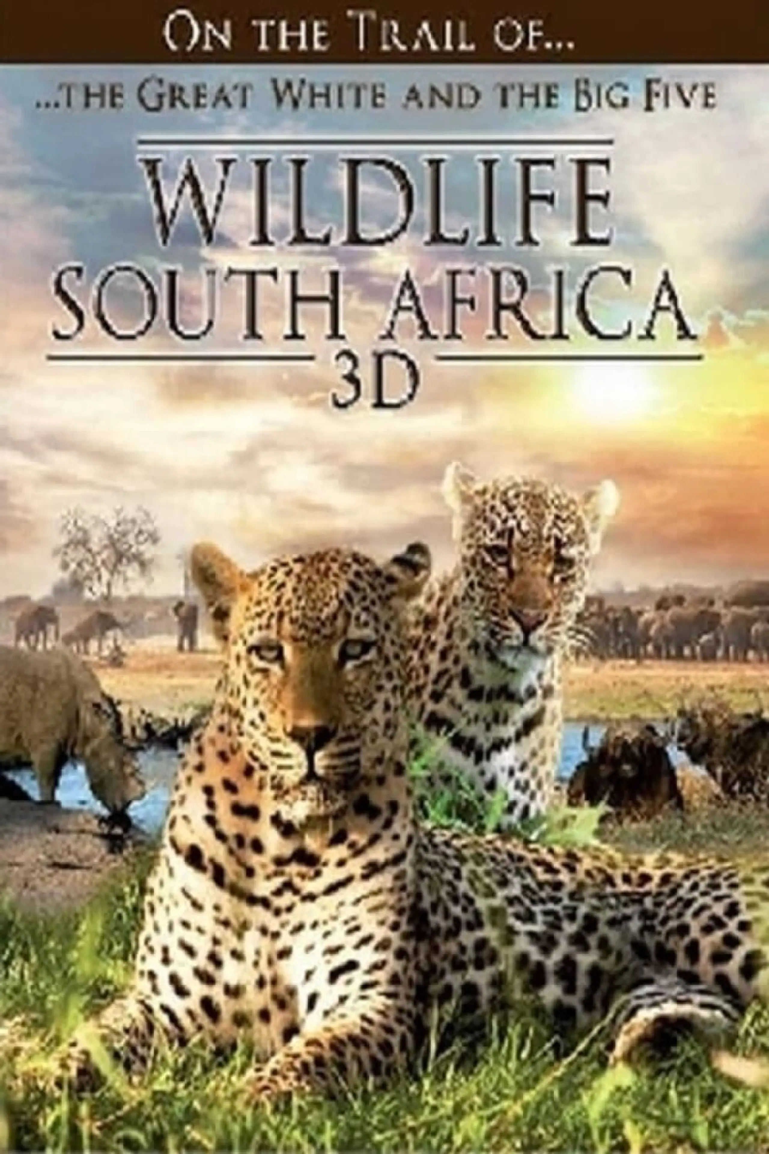 Wildlife Südafrika 3D