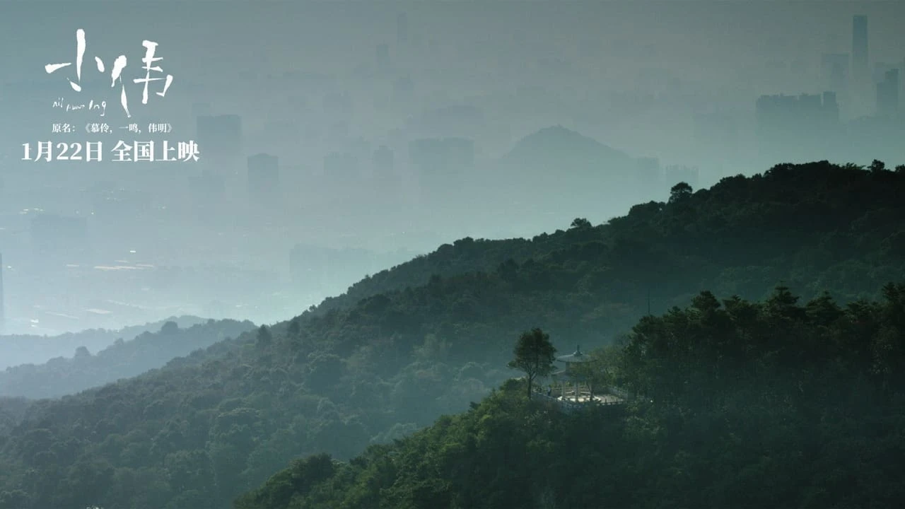 小伟