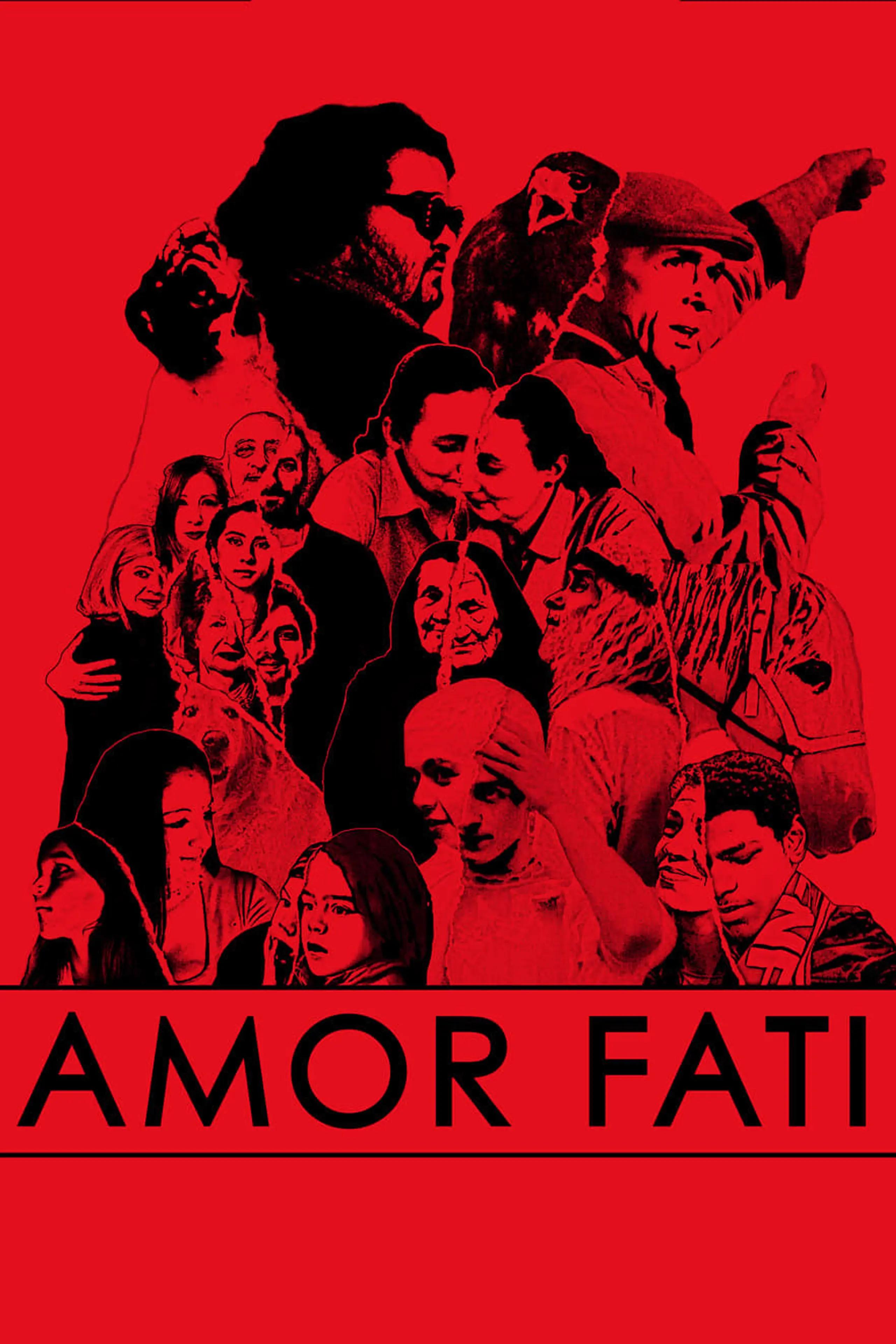 Amor Fati