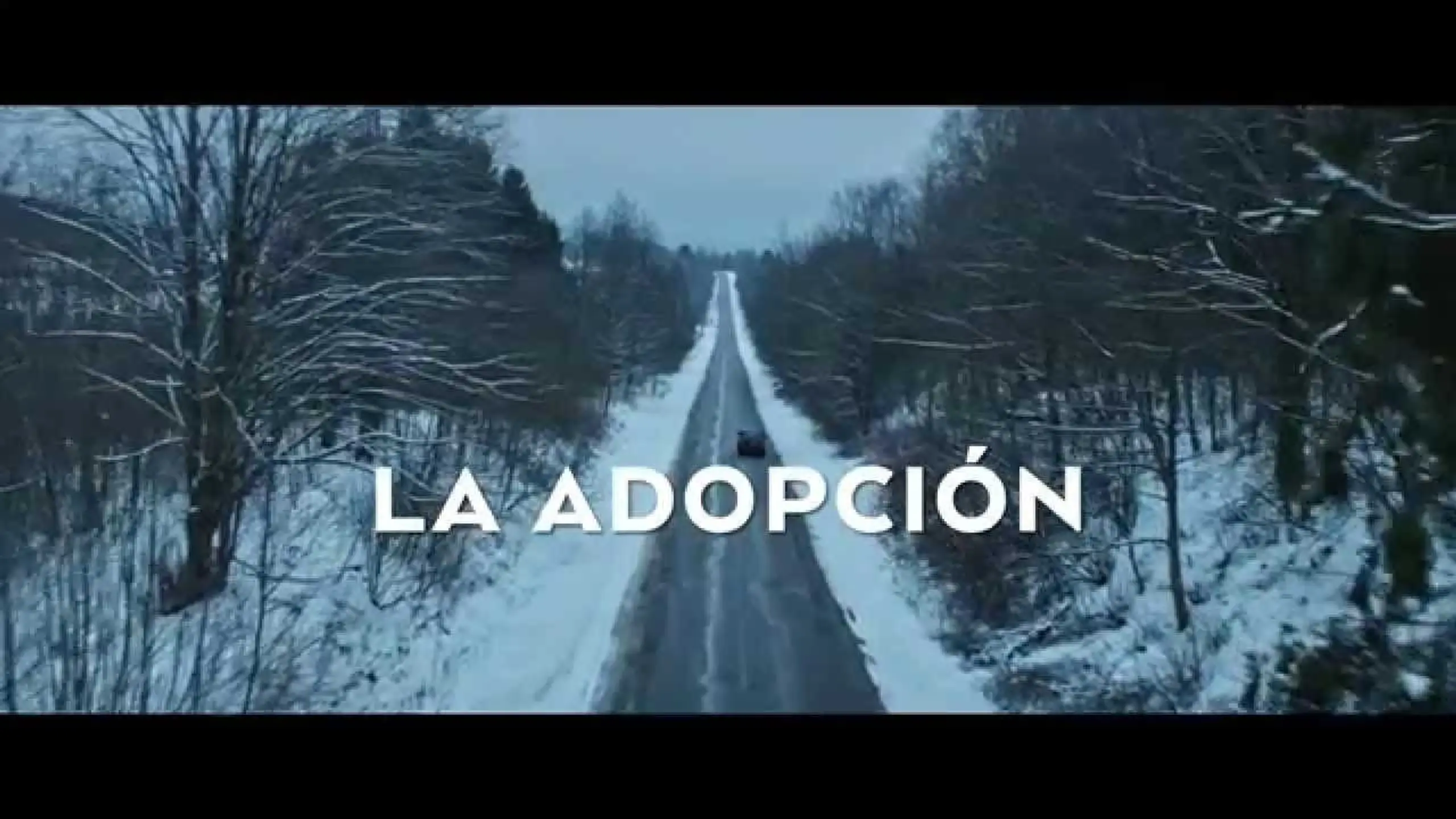 La adopción