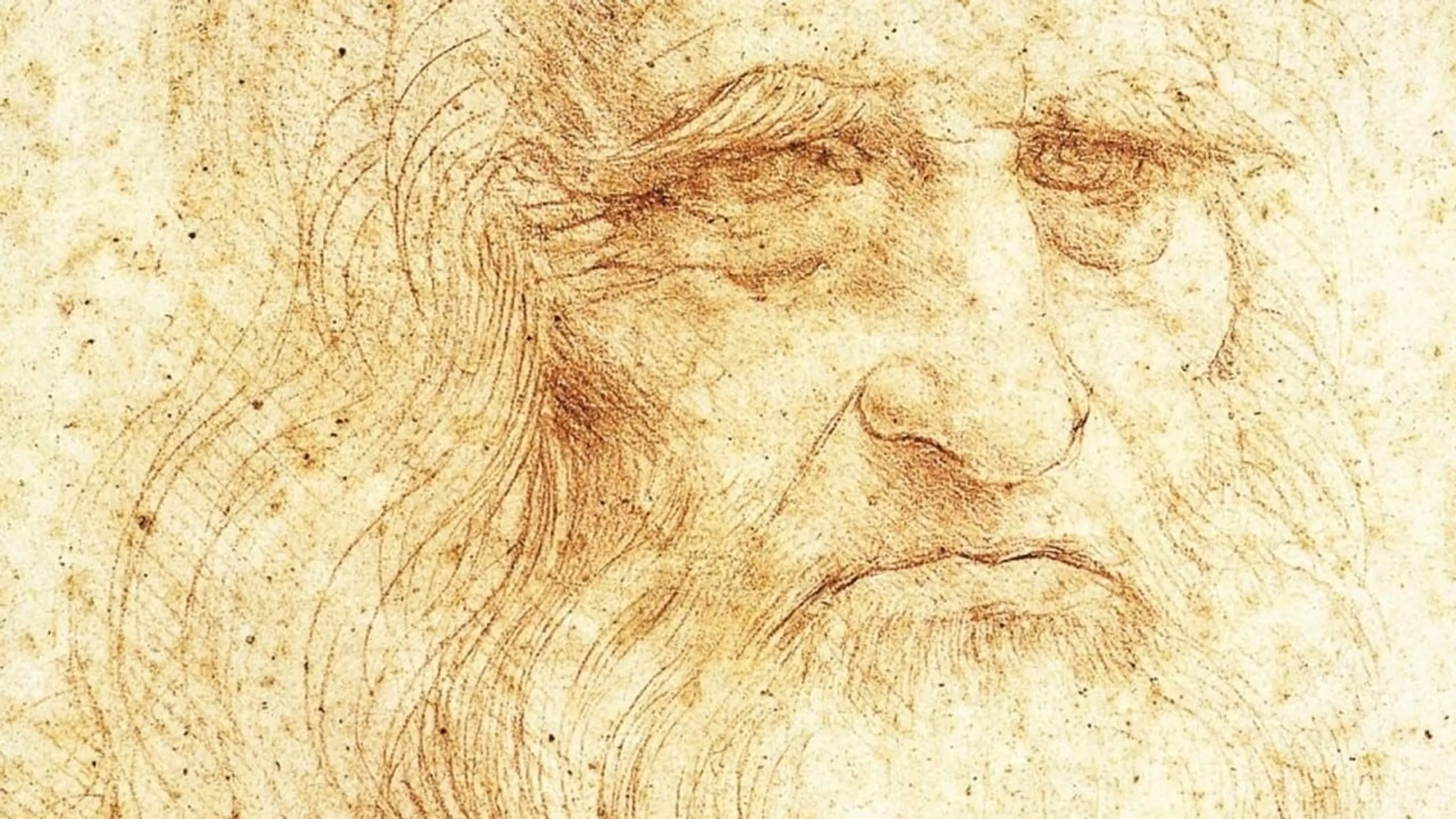 Leonardo da Vinci - Die Welt malen