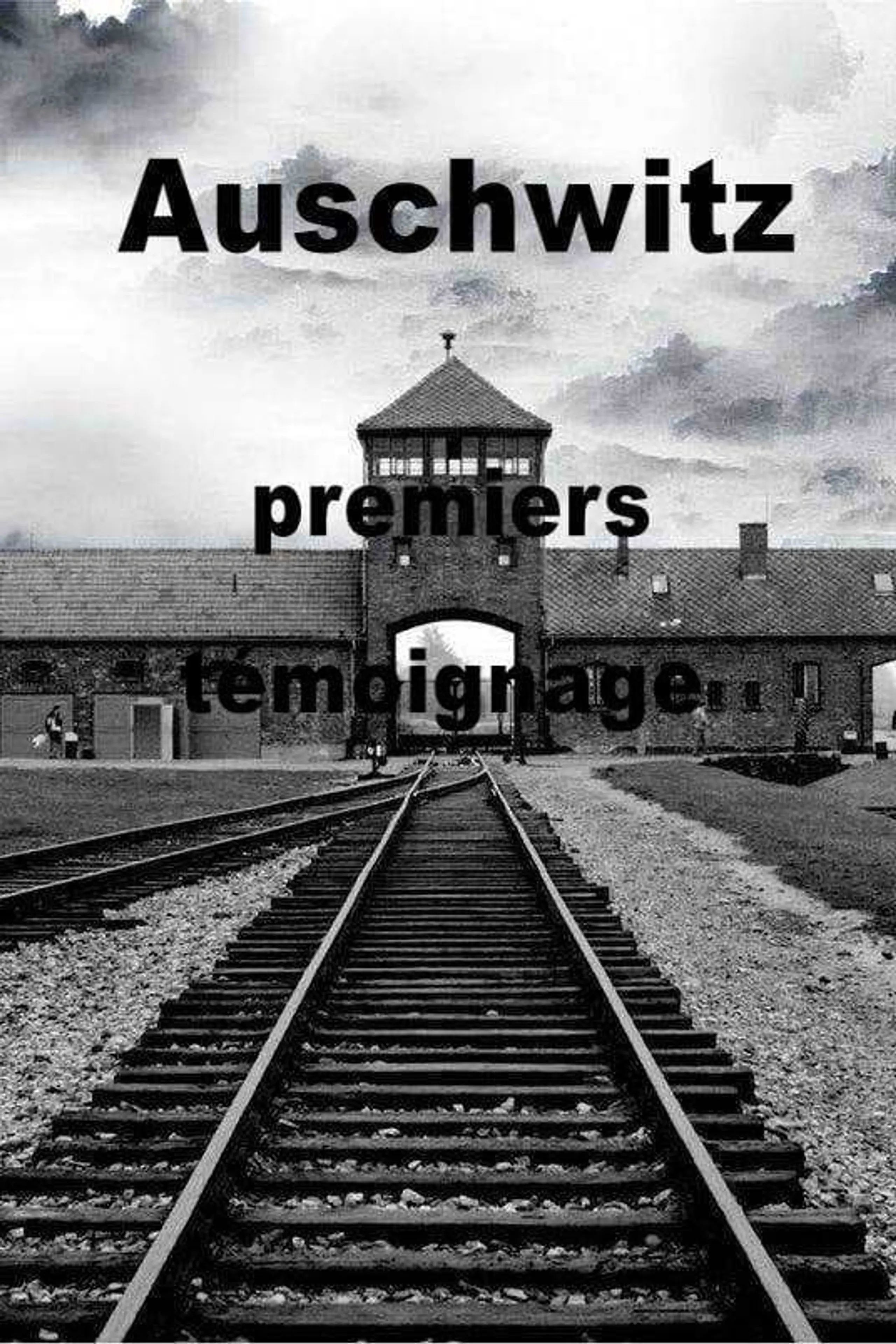 Zeugnis geben über Auschwitz