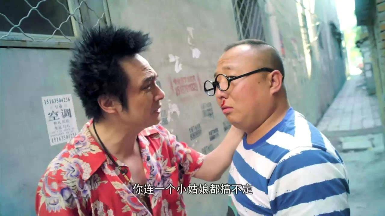 疯狂的蠢贼