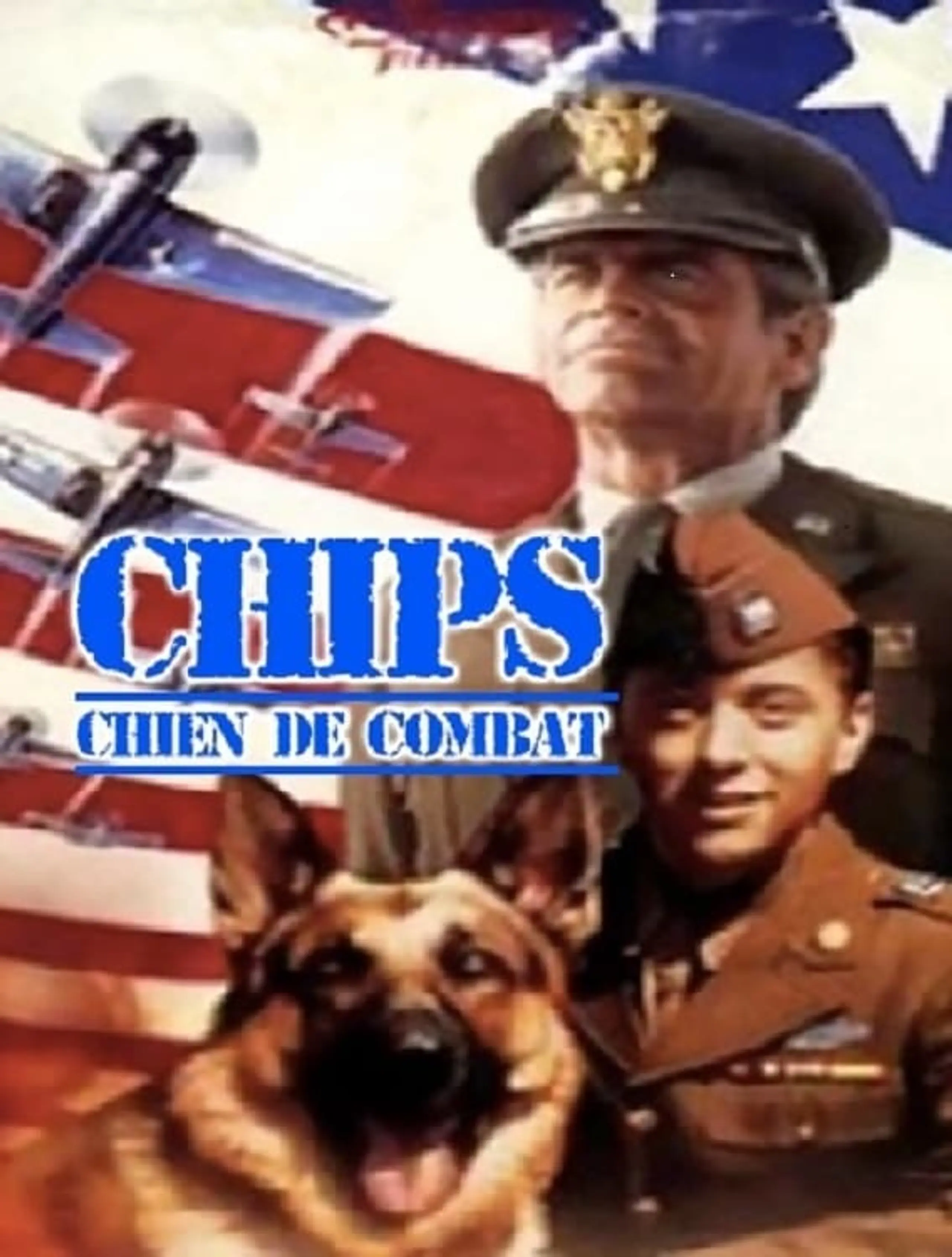 Chips, the War Dog