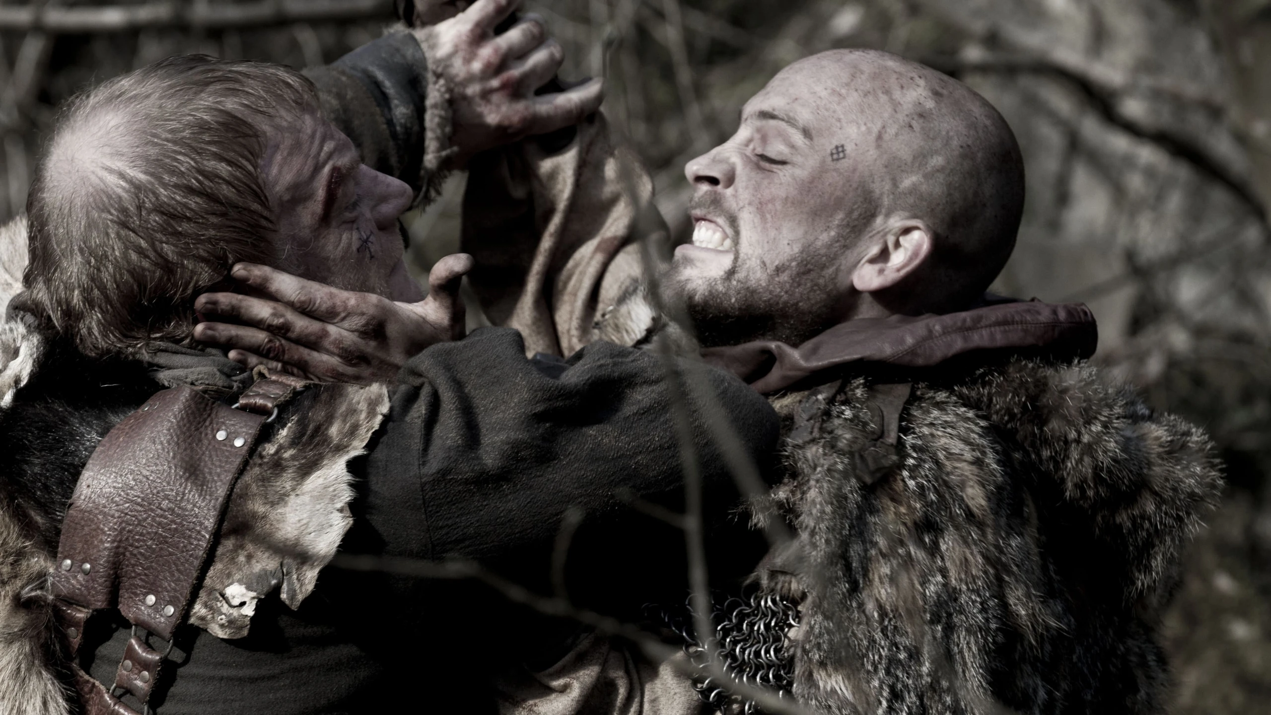 Das Blut der Wikinger