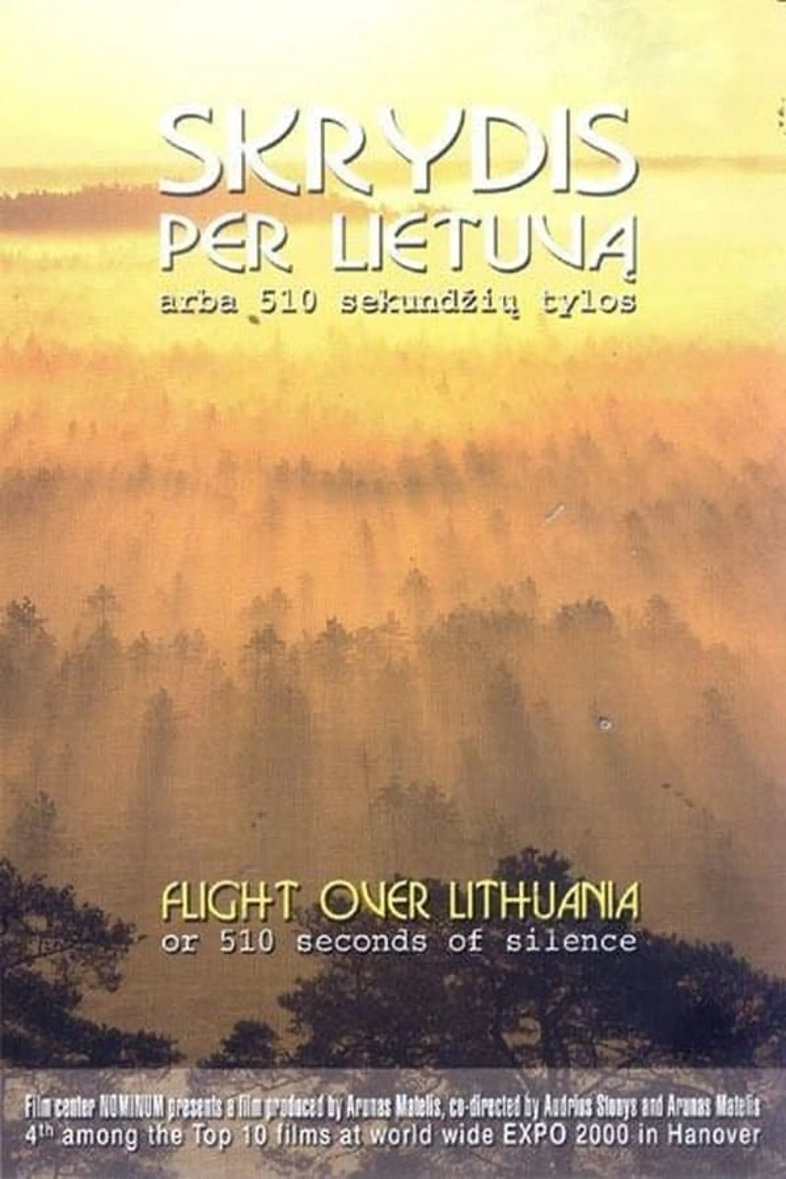 Skrydis per Lietuvą arba 510 sekundžių tylos