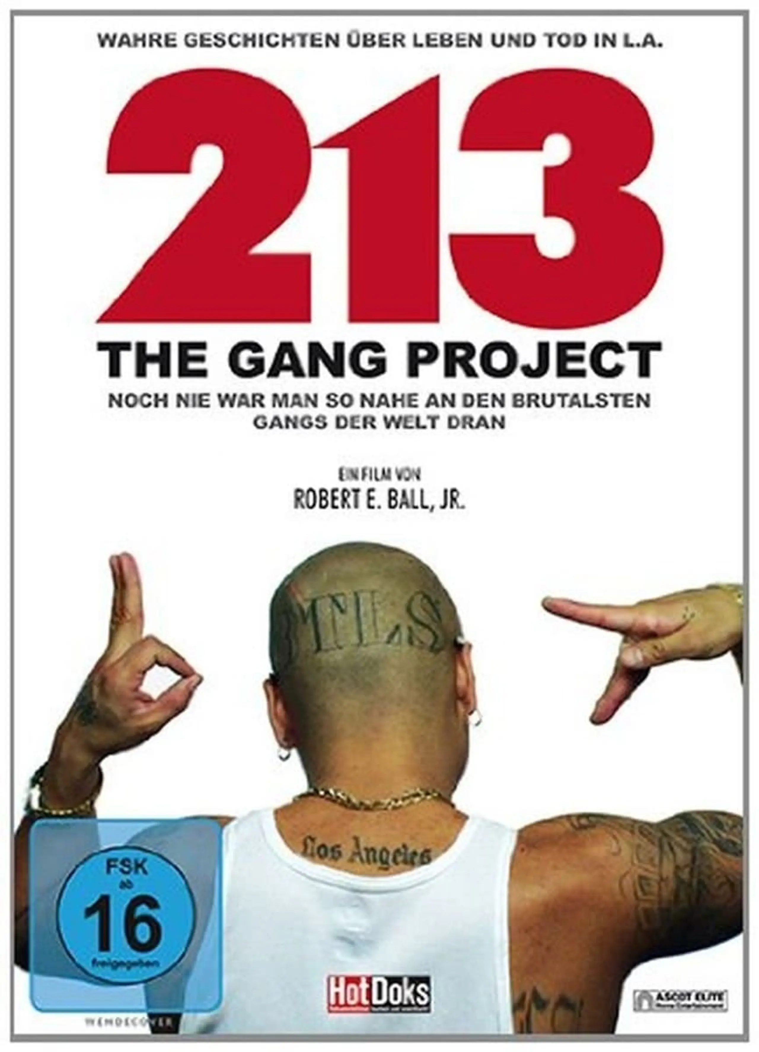 213 - The Gang Project