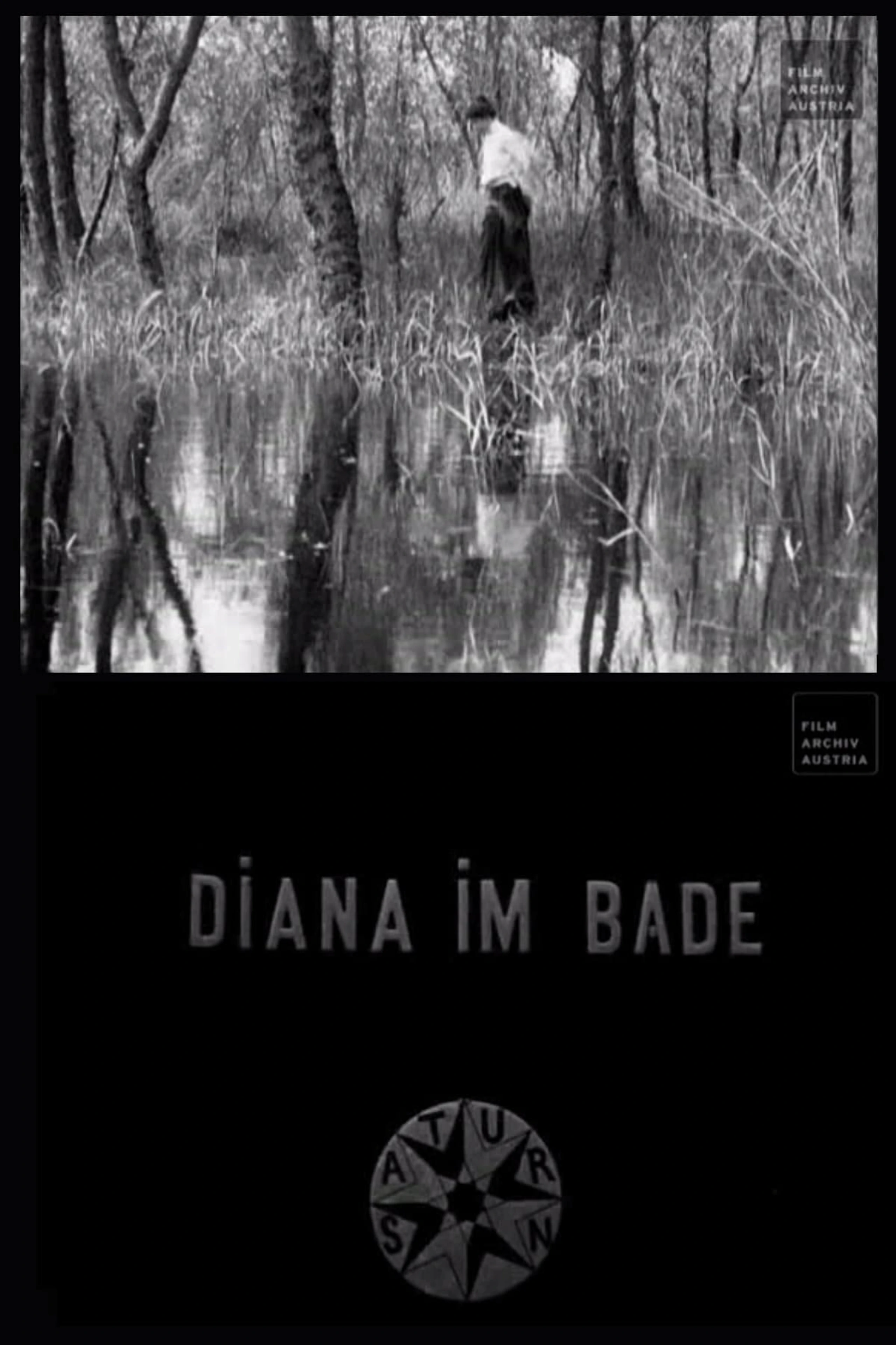 Diana im Bade