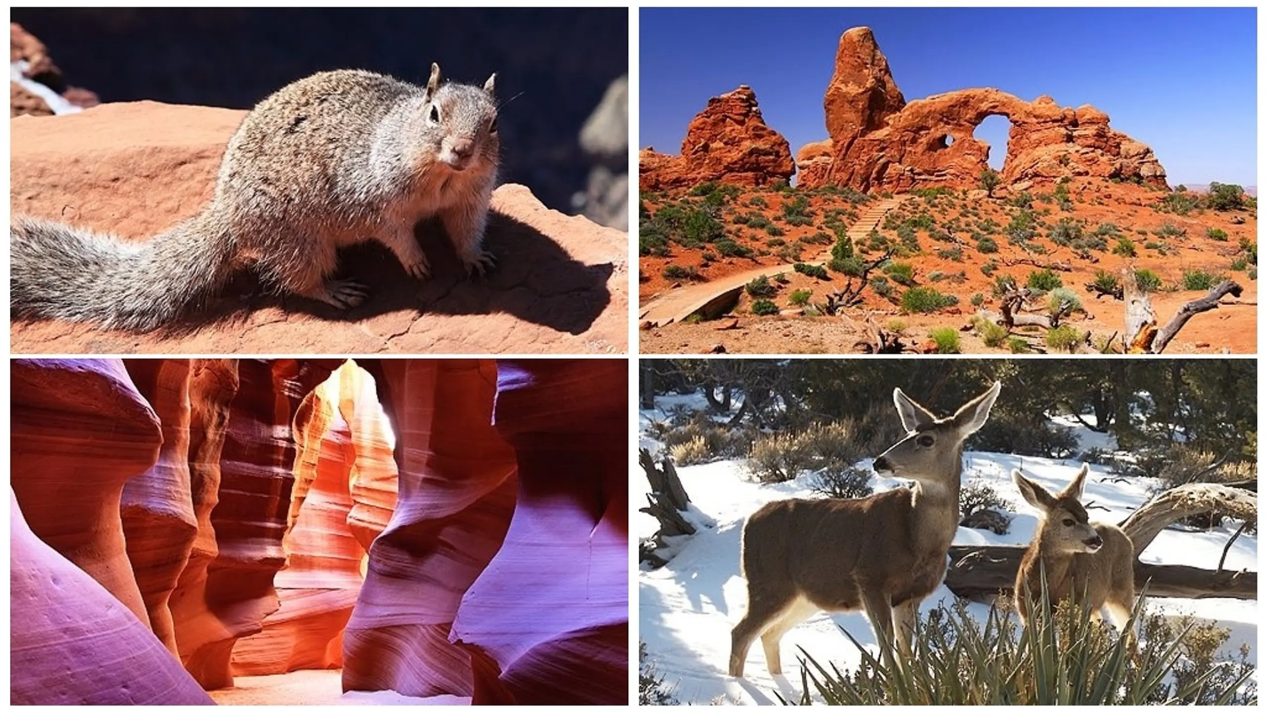 Amerikas Südwesten 3D: Vom Grand Canyon bis zum Death Valley