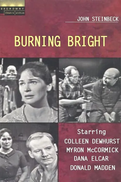 Broadway Theatre Archive: Burning Bright