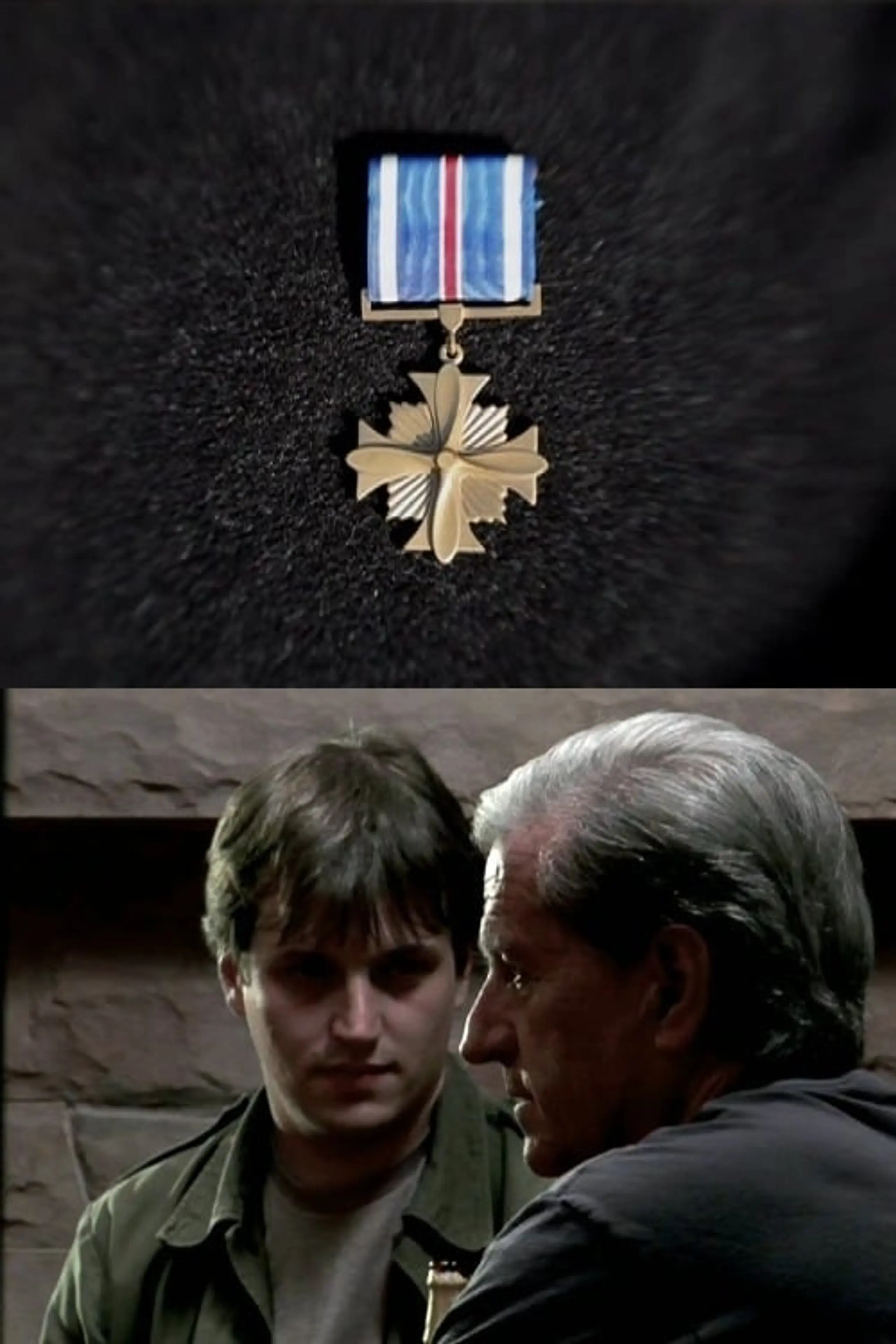 Distinguished Flying Cross