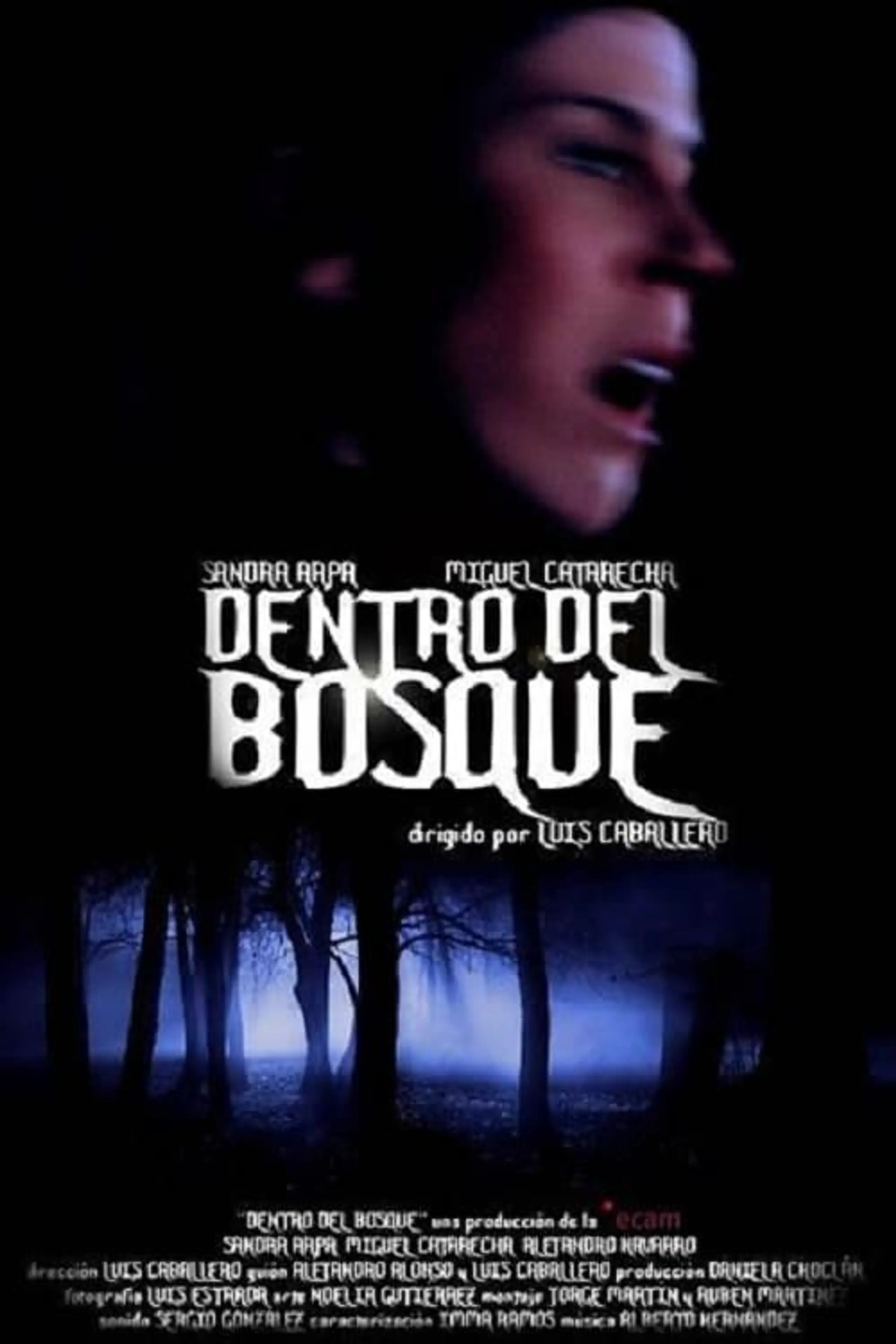 Dentro del bosque