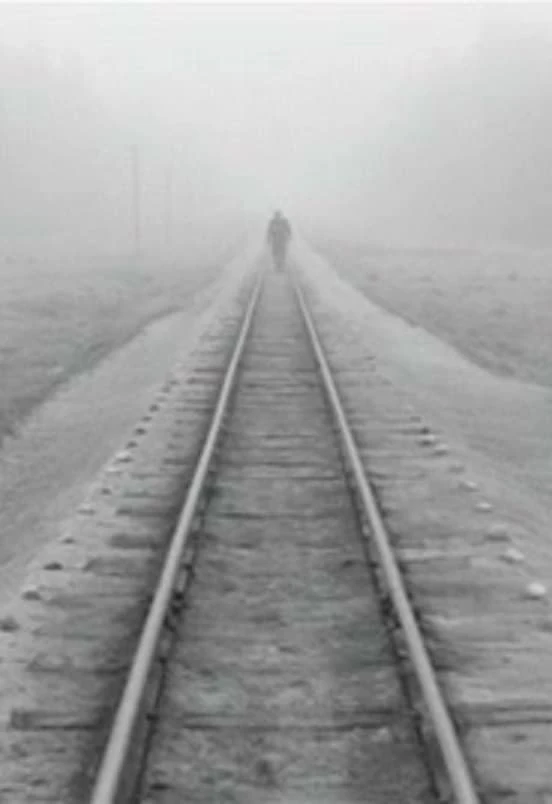 A Trip Across Misty Meadows