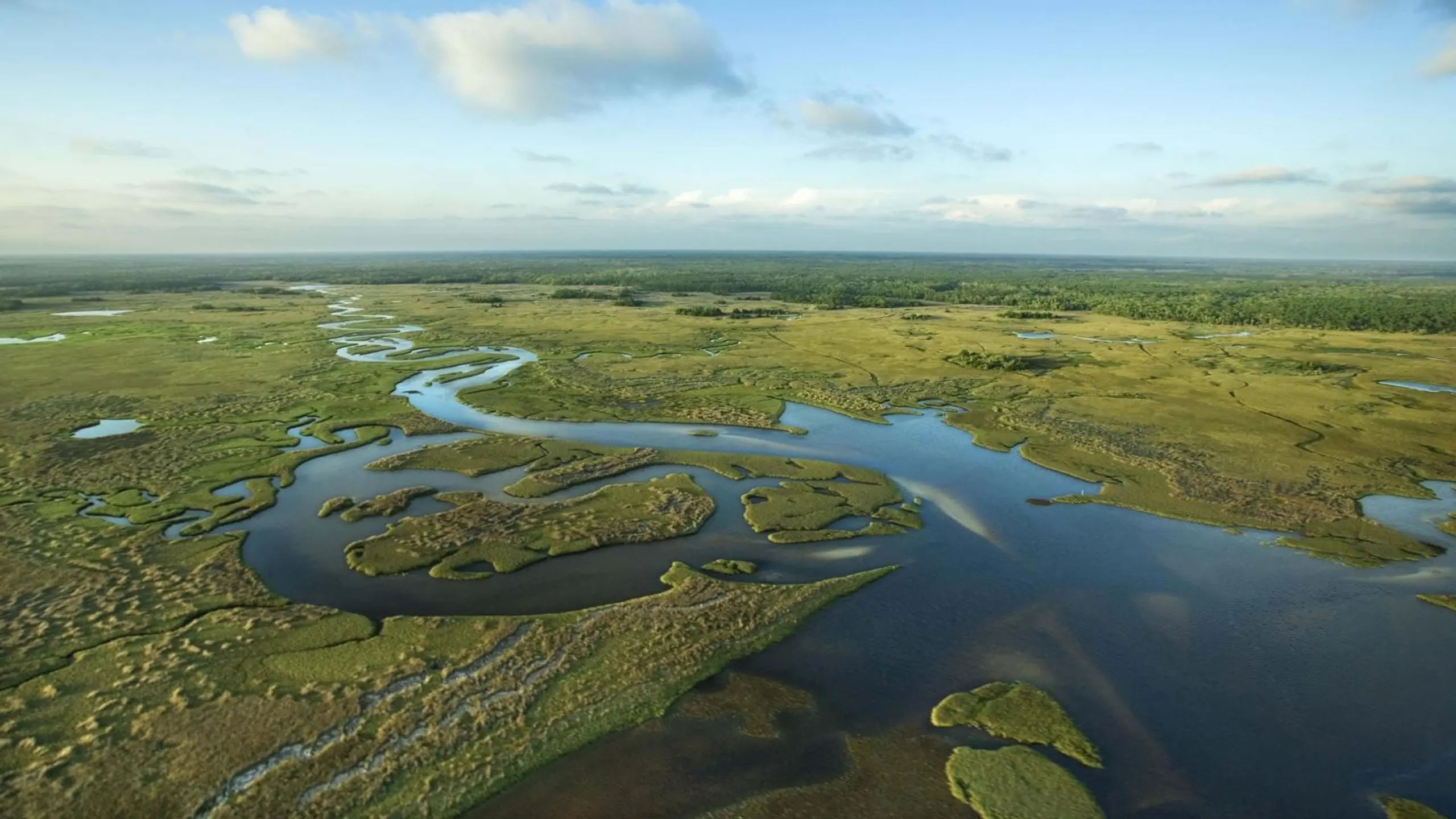 National Parks Exploration Series: The Everglades