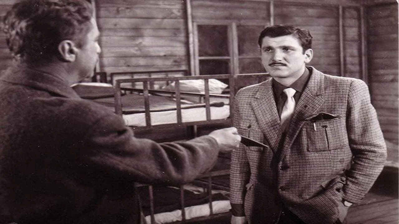 Uzavreli grad