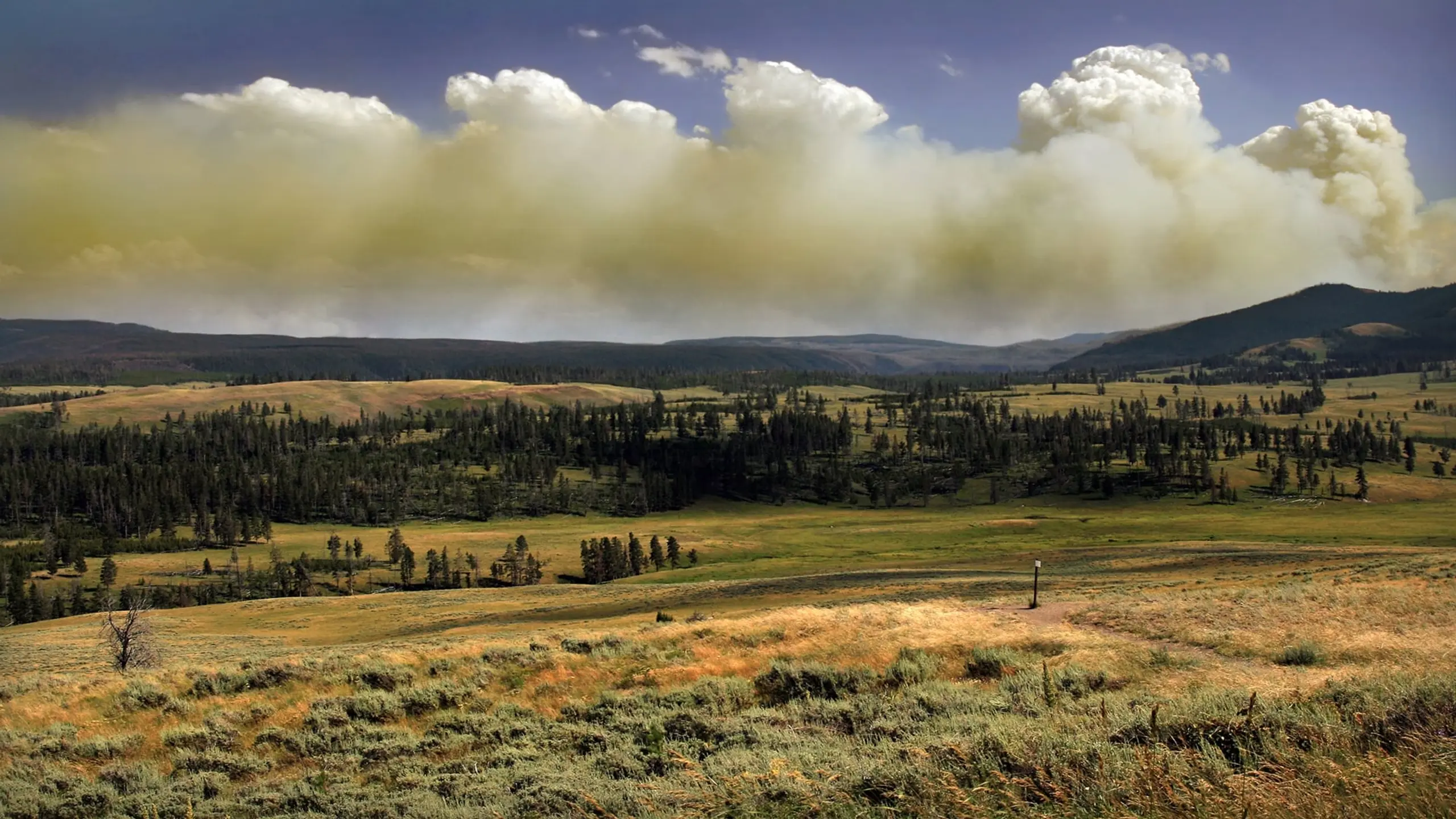 National Parks Exploration Series: Yellowstone