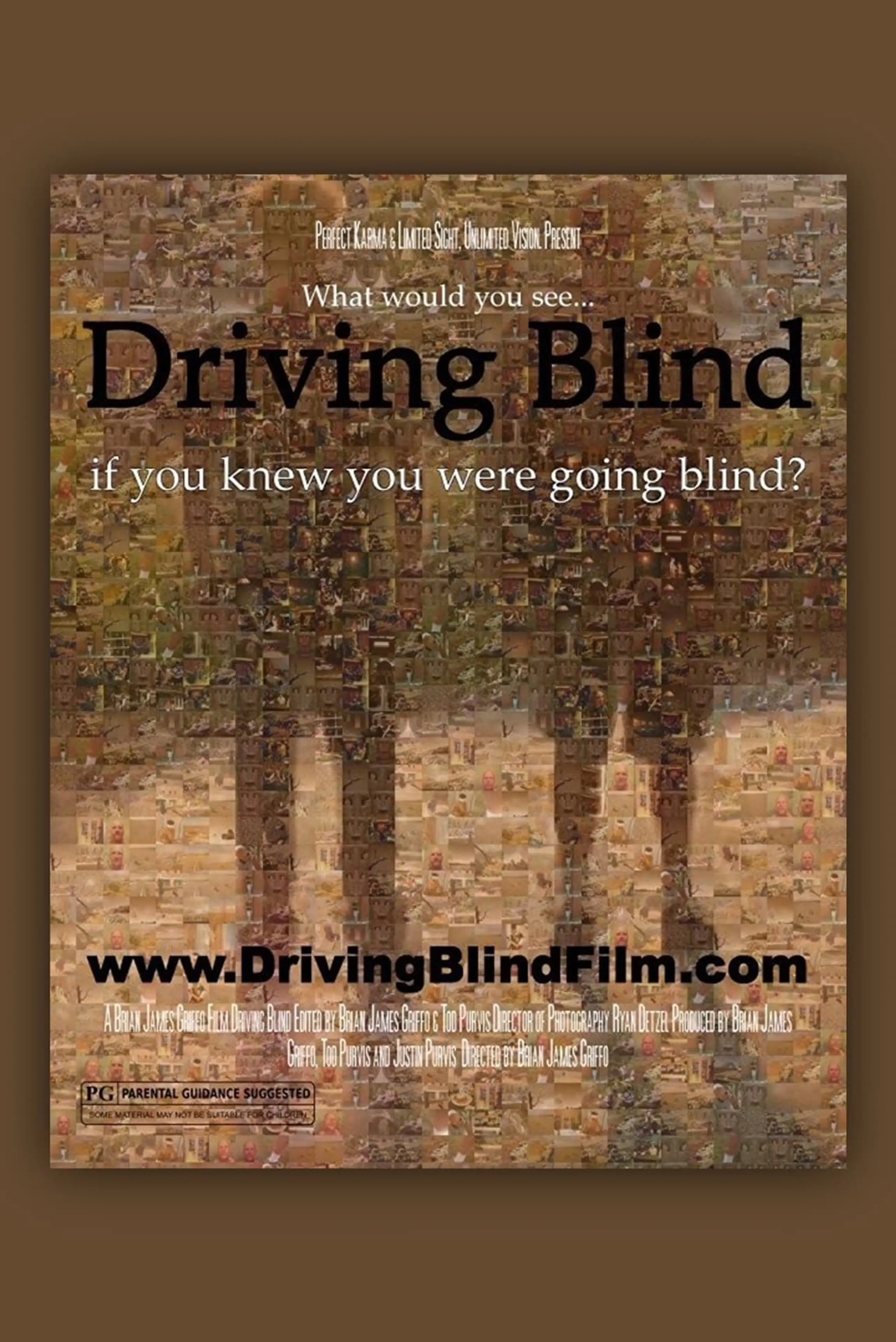 Driving Blind