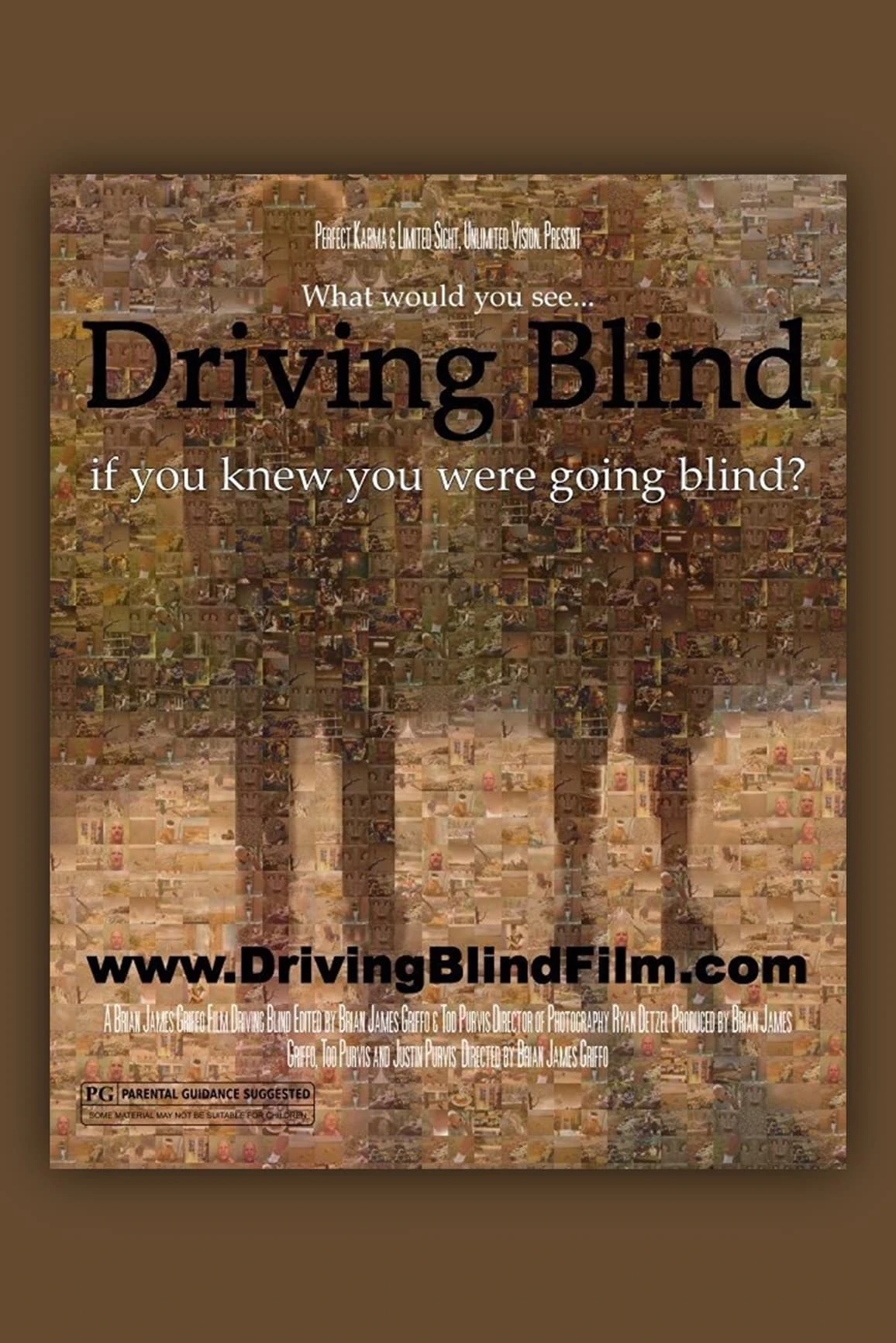 Driving Blind