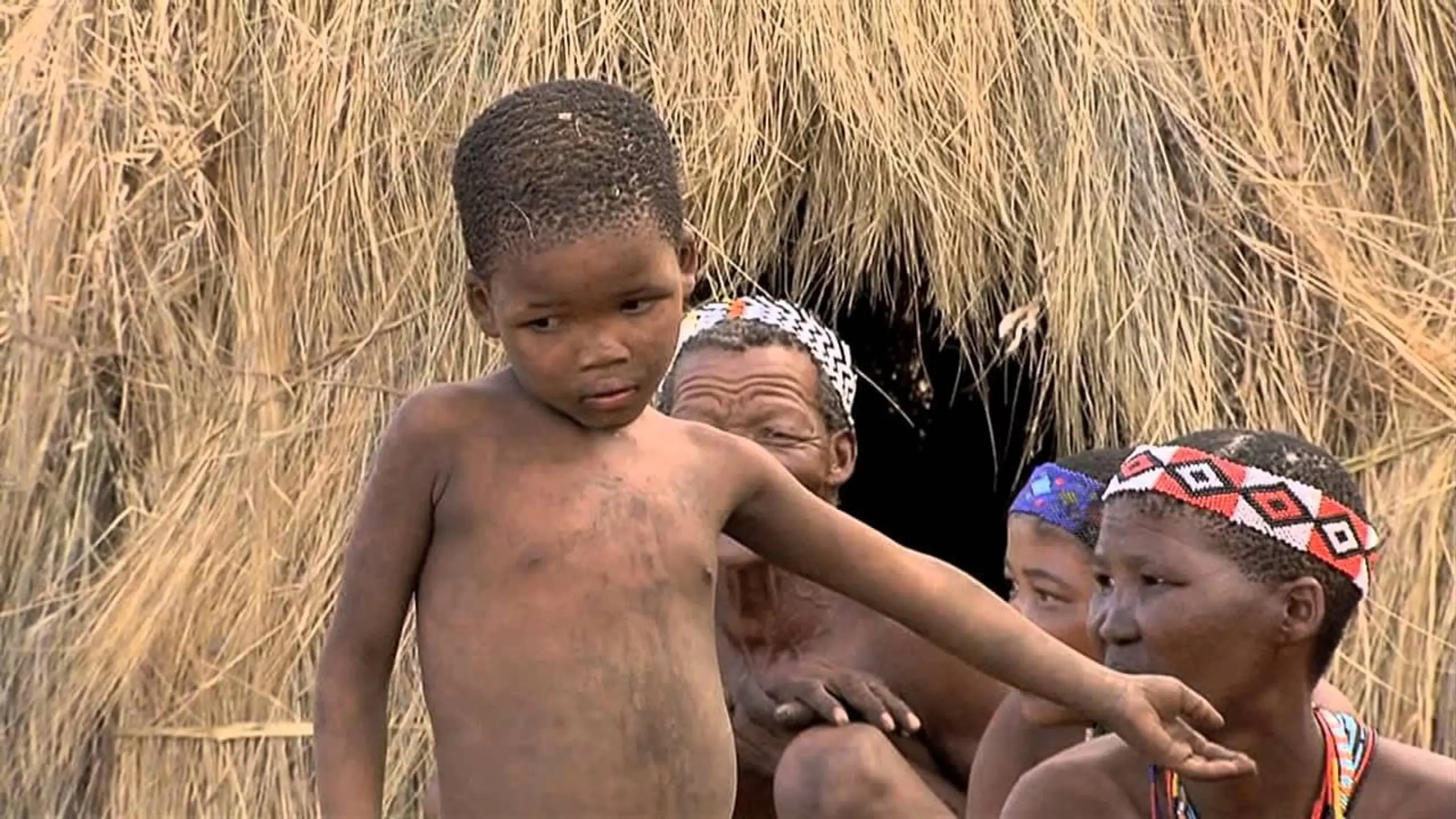 Africa, le sang et la beauté