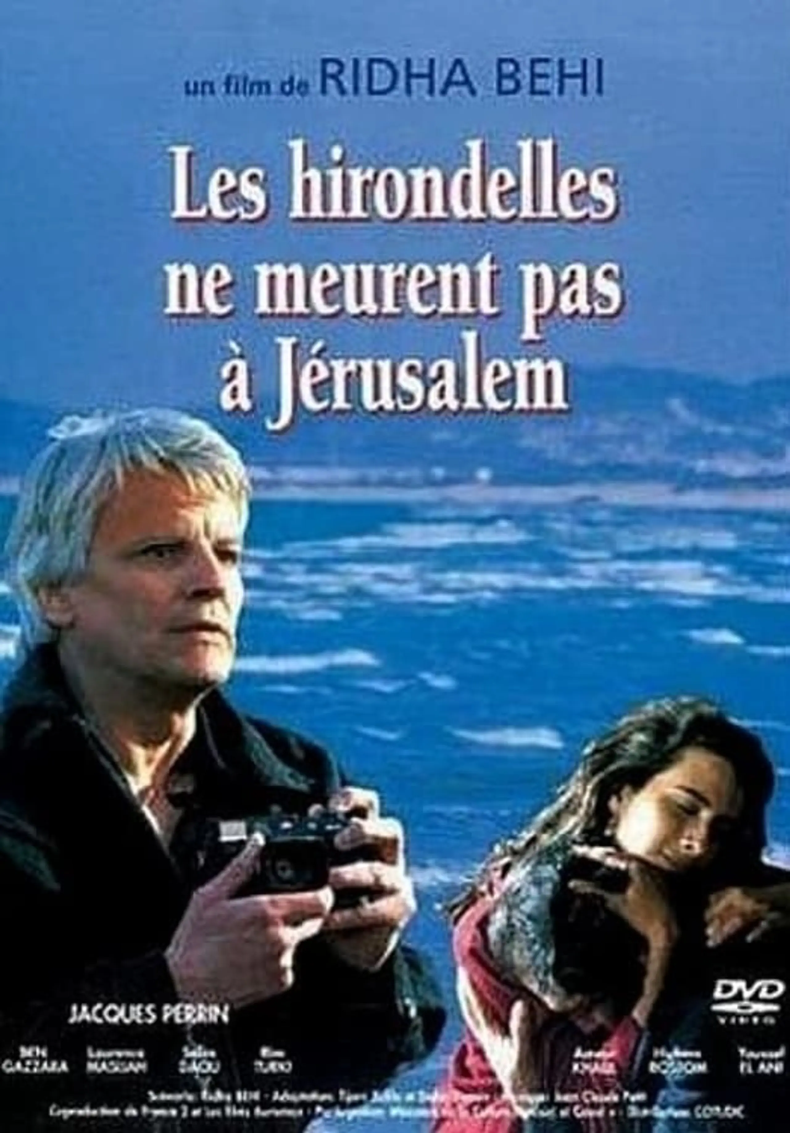 Les hirondelles ne meurent pas à Jerusalem