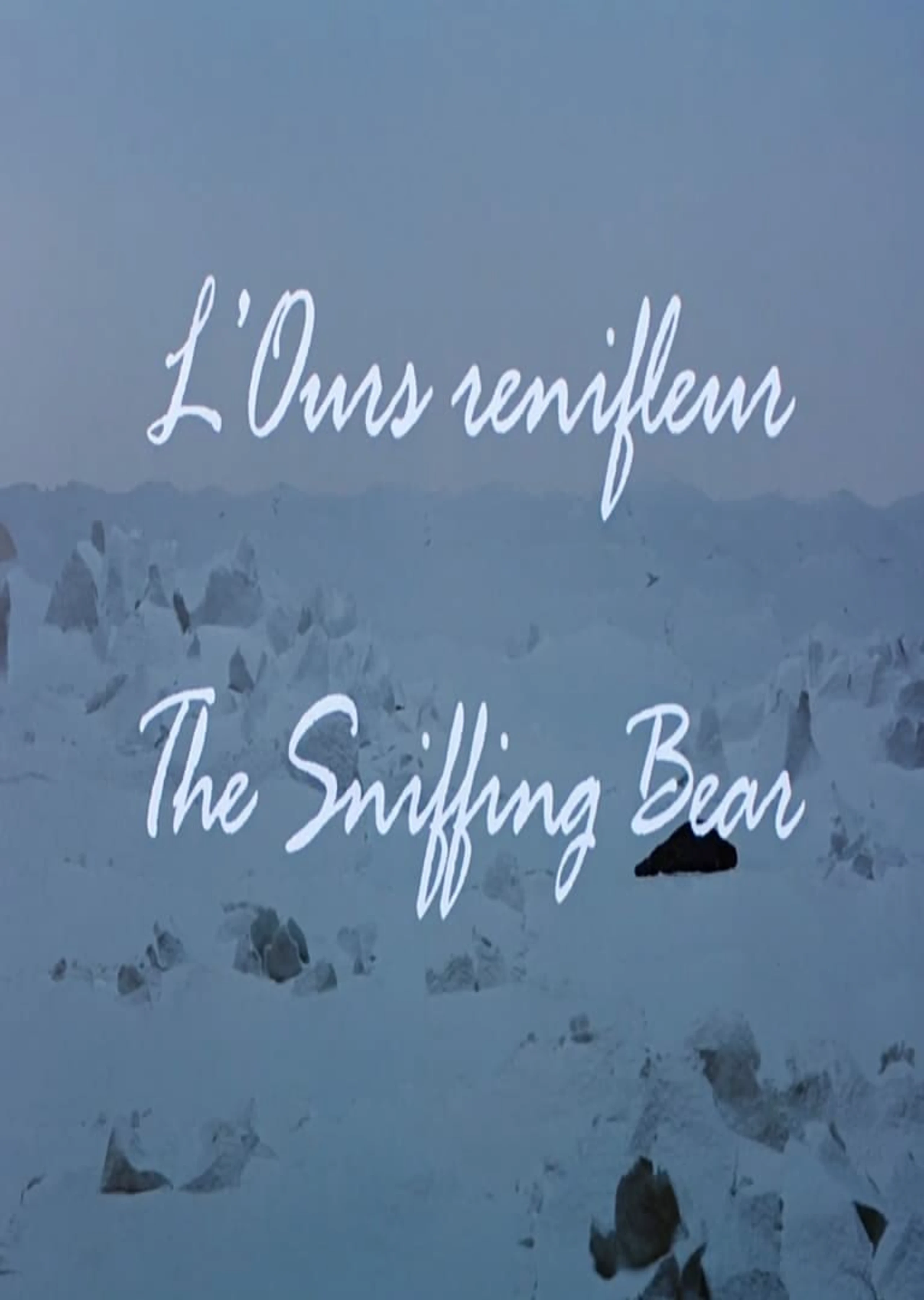 L'ours renifleur