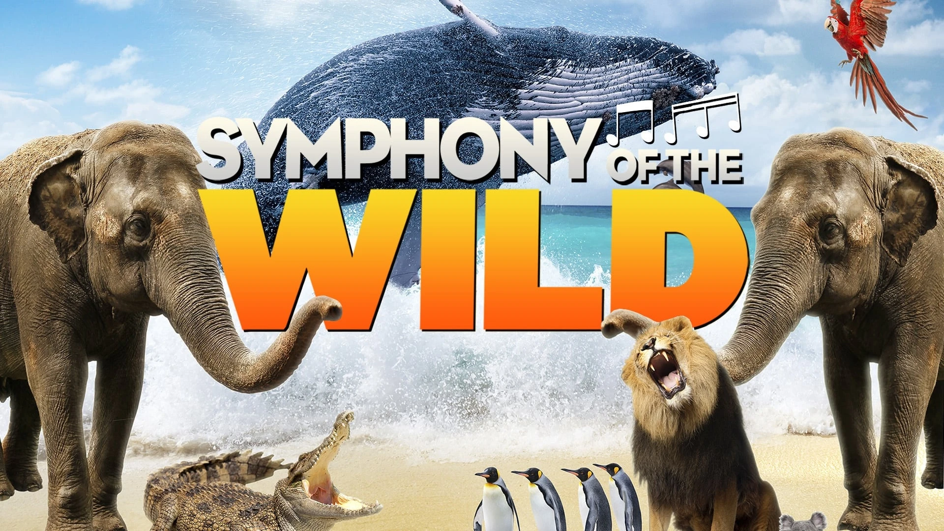 Symphonie der Tiere