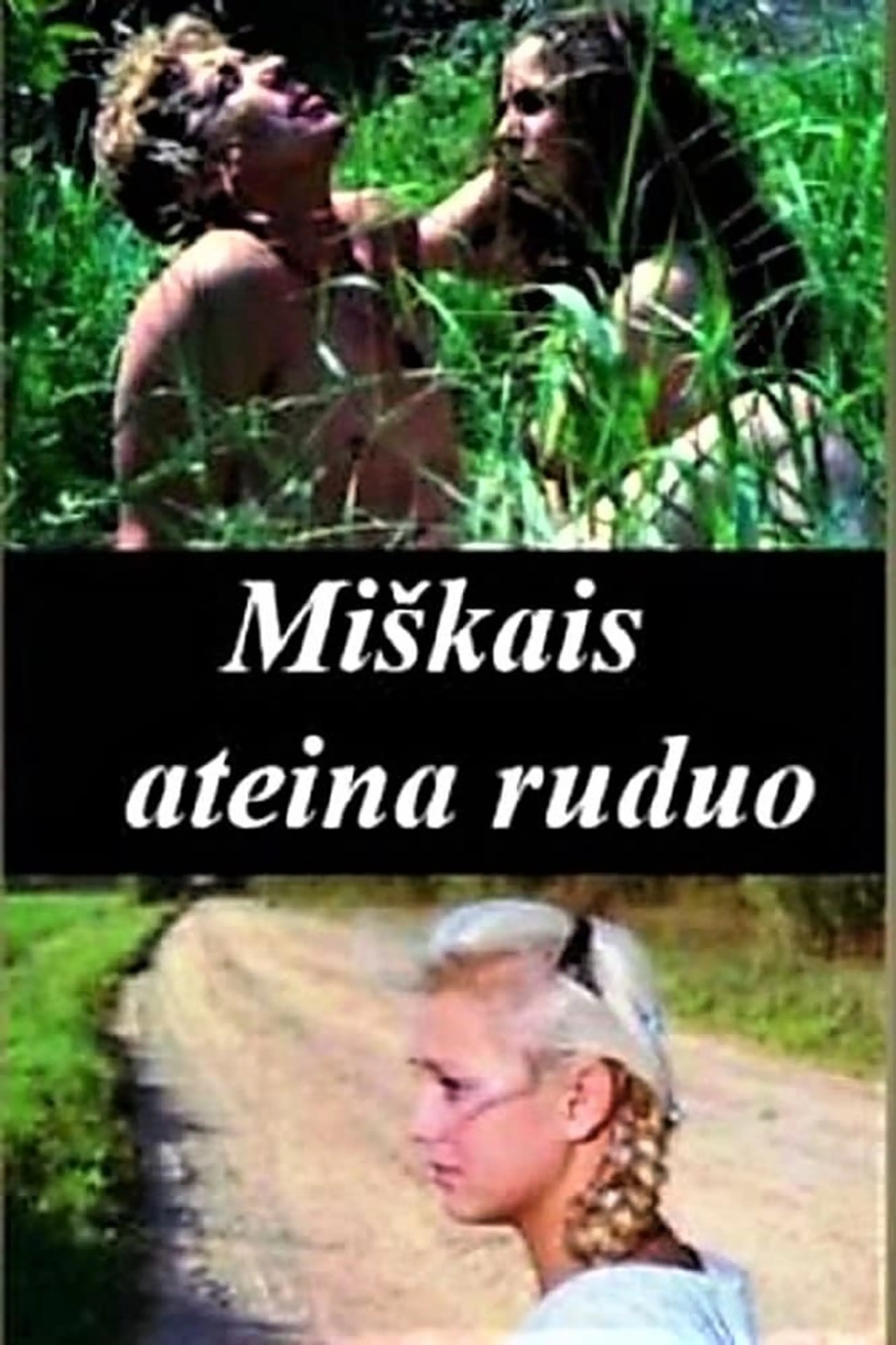 Miškais ateina ruduo