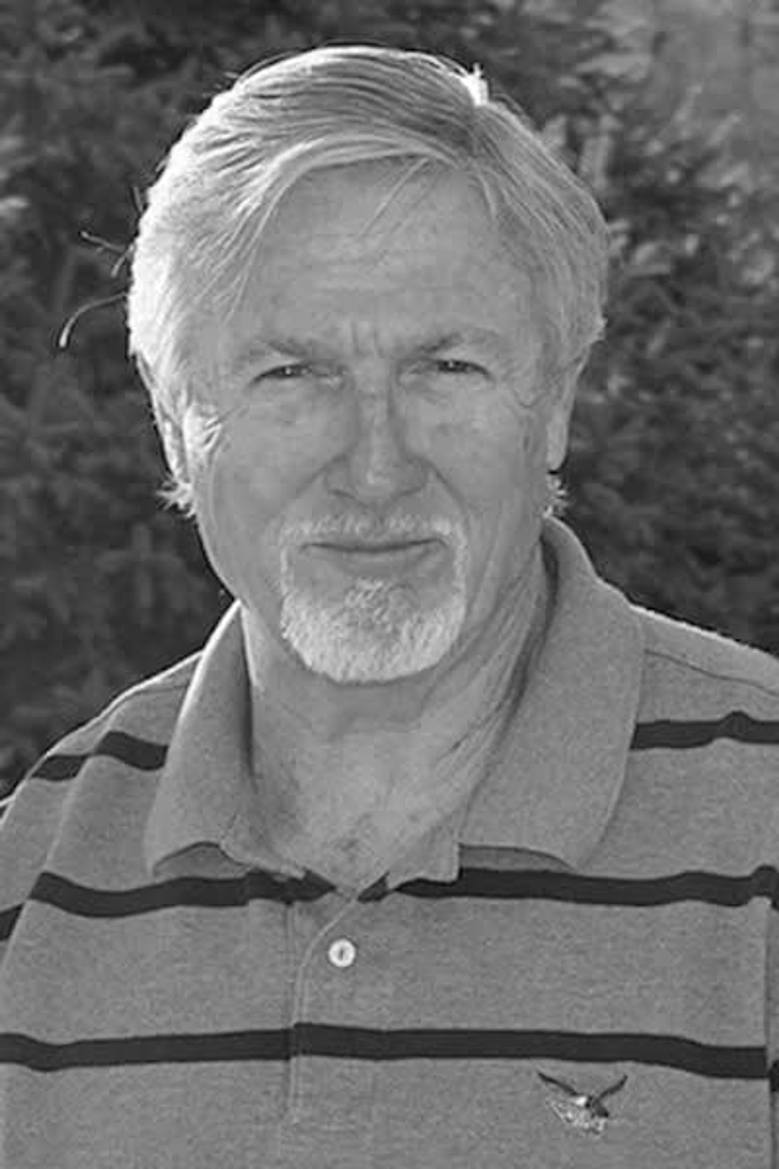 Foto von Michael Runyard