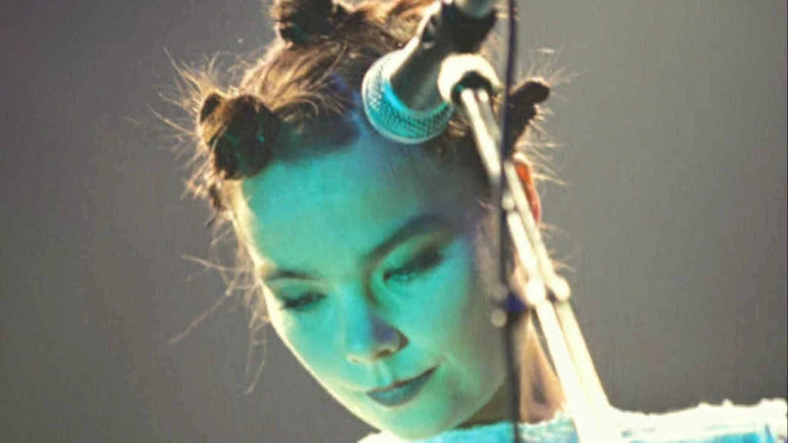 Björk: Vessel 1994