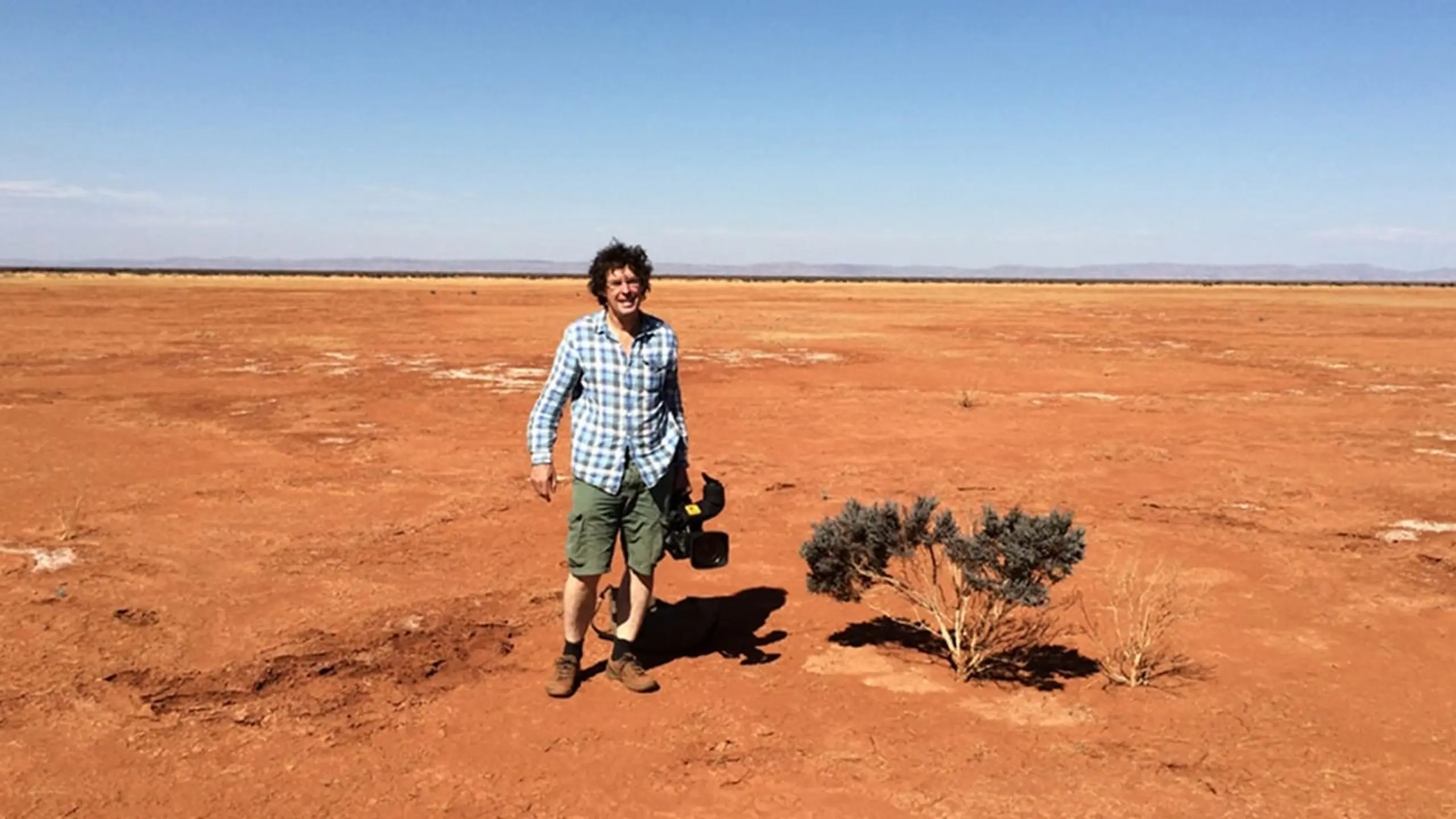 Night Parrot Stories