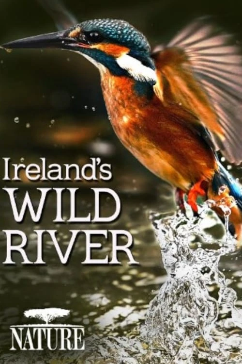 On a River in Ireland