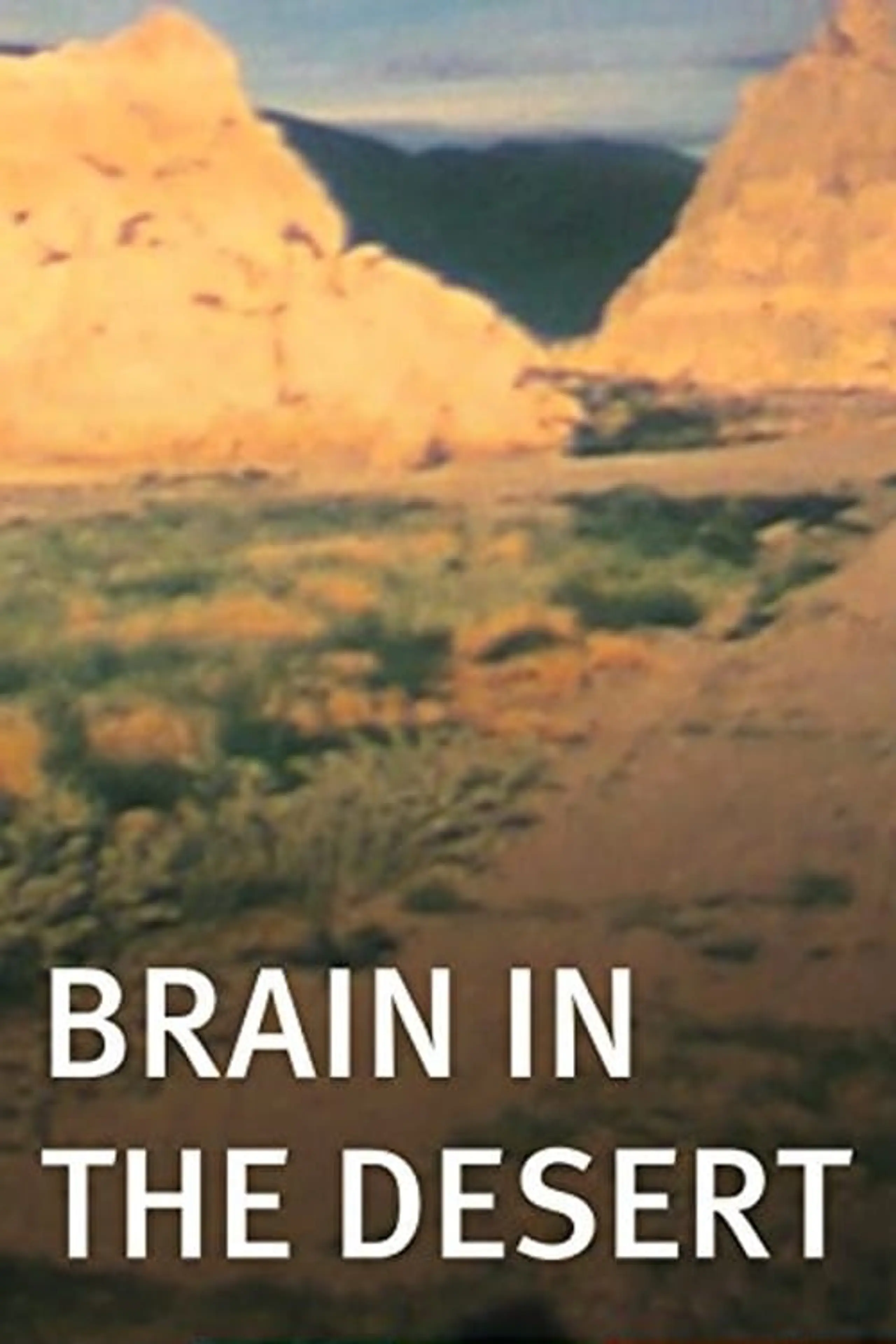 Brain in the Desert