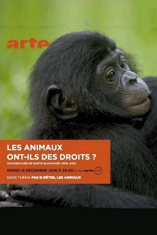 Brauchen Tiere Rechte?