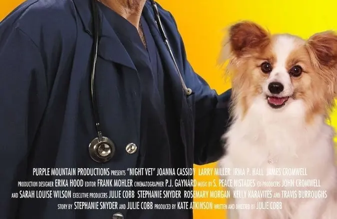 Night Vet